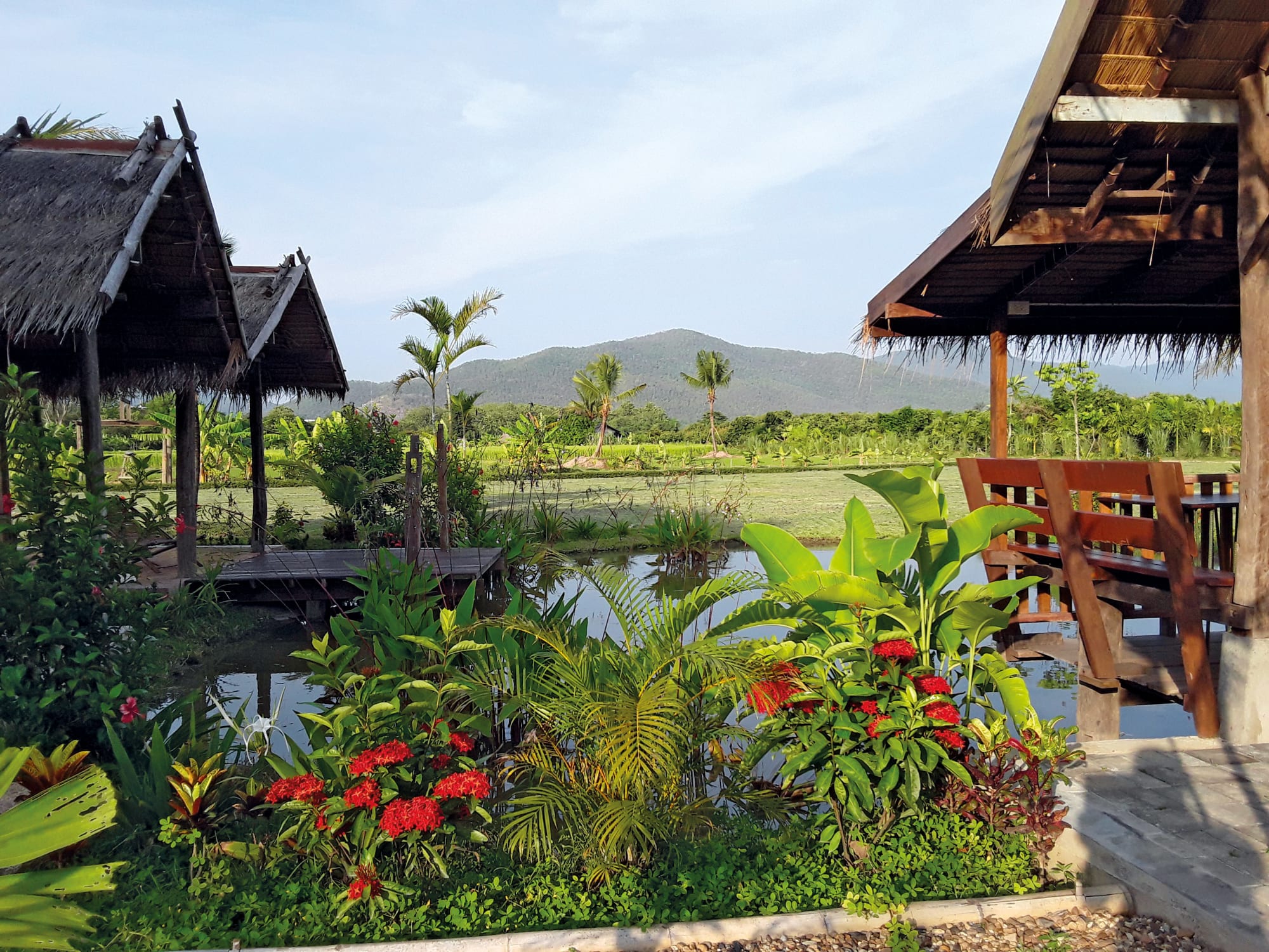 Nordthailand Aktiv - Natur & Elefanten ab Chiang Mai: Thailand Nordthailand Aktiv Le Cocotier