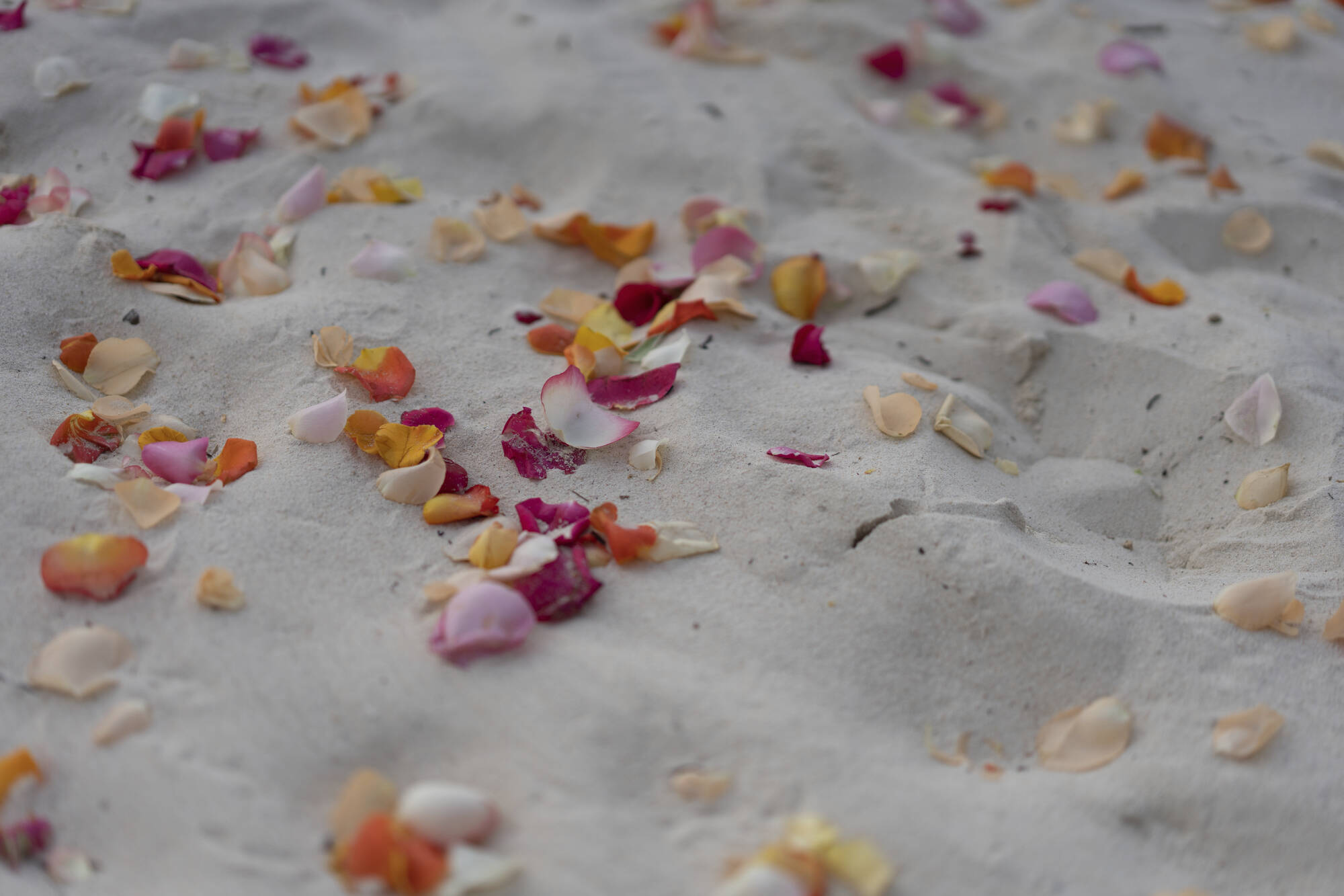 Trou aux Biches Beachcomber Golf Resort & Spa in Nord | Nordwesten: Trou aux Biches Beachcomber Golf Resort & Spa