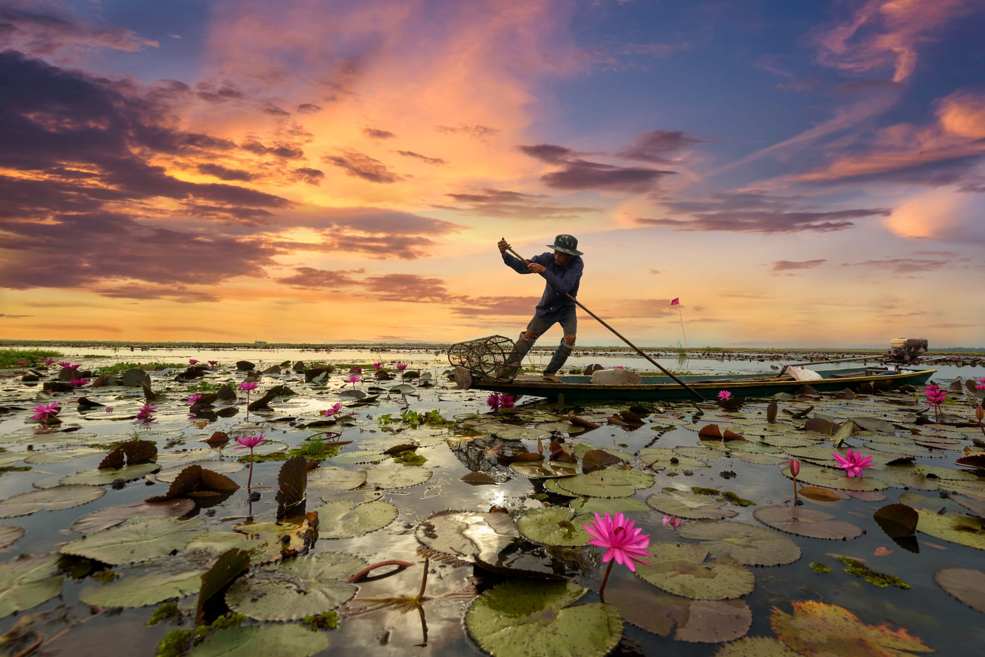 Isan - wo Thailand erwacht ab Ubon Ratchathani: Thailand Isan Lotusteich Fischer 