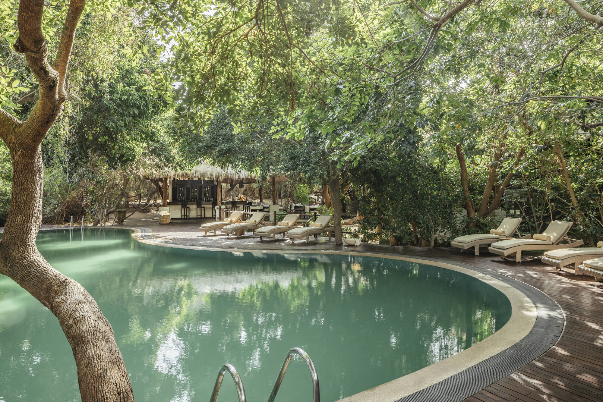Jungle Beach, an Uga Experience in Ostküste: Jungle Beach an Uga Experience Pool