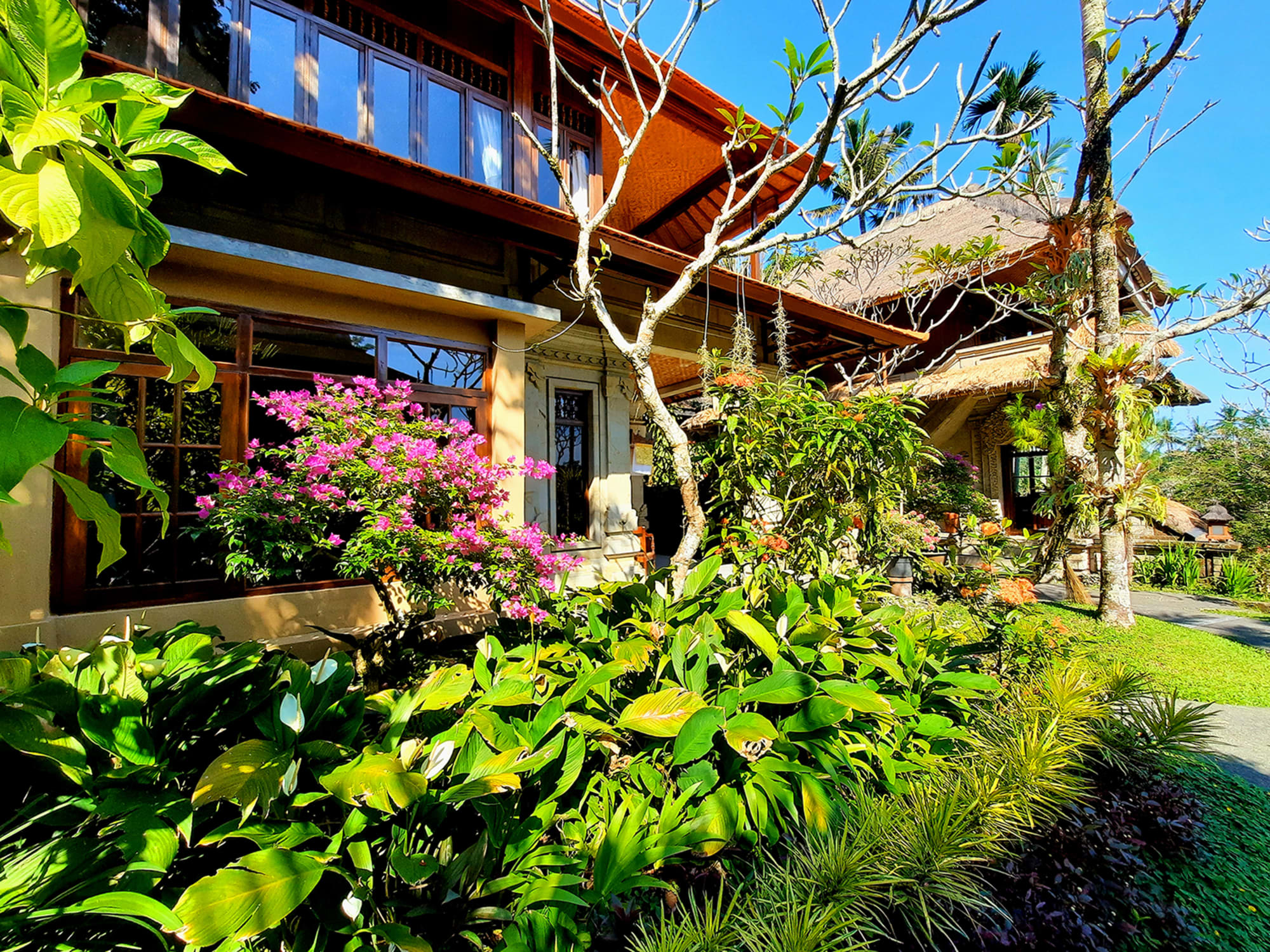 Alam Indah in Zentral-Bali | Ubud: Indonesien Alam Indah Ubud Deluxe Garden