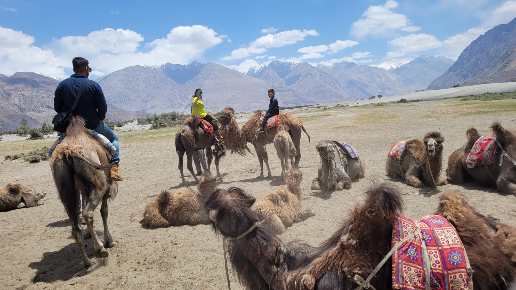 Ladakh auf dem Fahrrad entdecken ab Delhi: Indien Ladakh auf dem Fahrrad entdecken