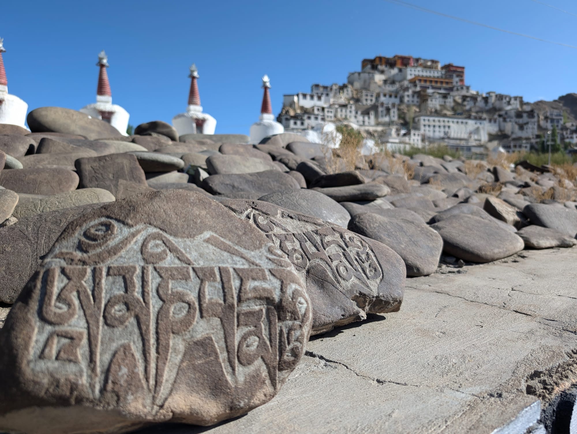 Ladakh auf dem Fahrrad entdecken ab Delhi: Indien Ladakh auf dem Fahrrad entdecken