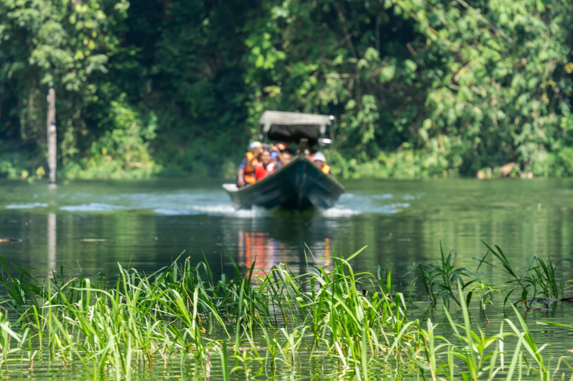 Naturerlebnis Belum Regenwald: Malaysia Belum Rainforest