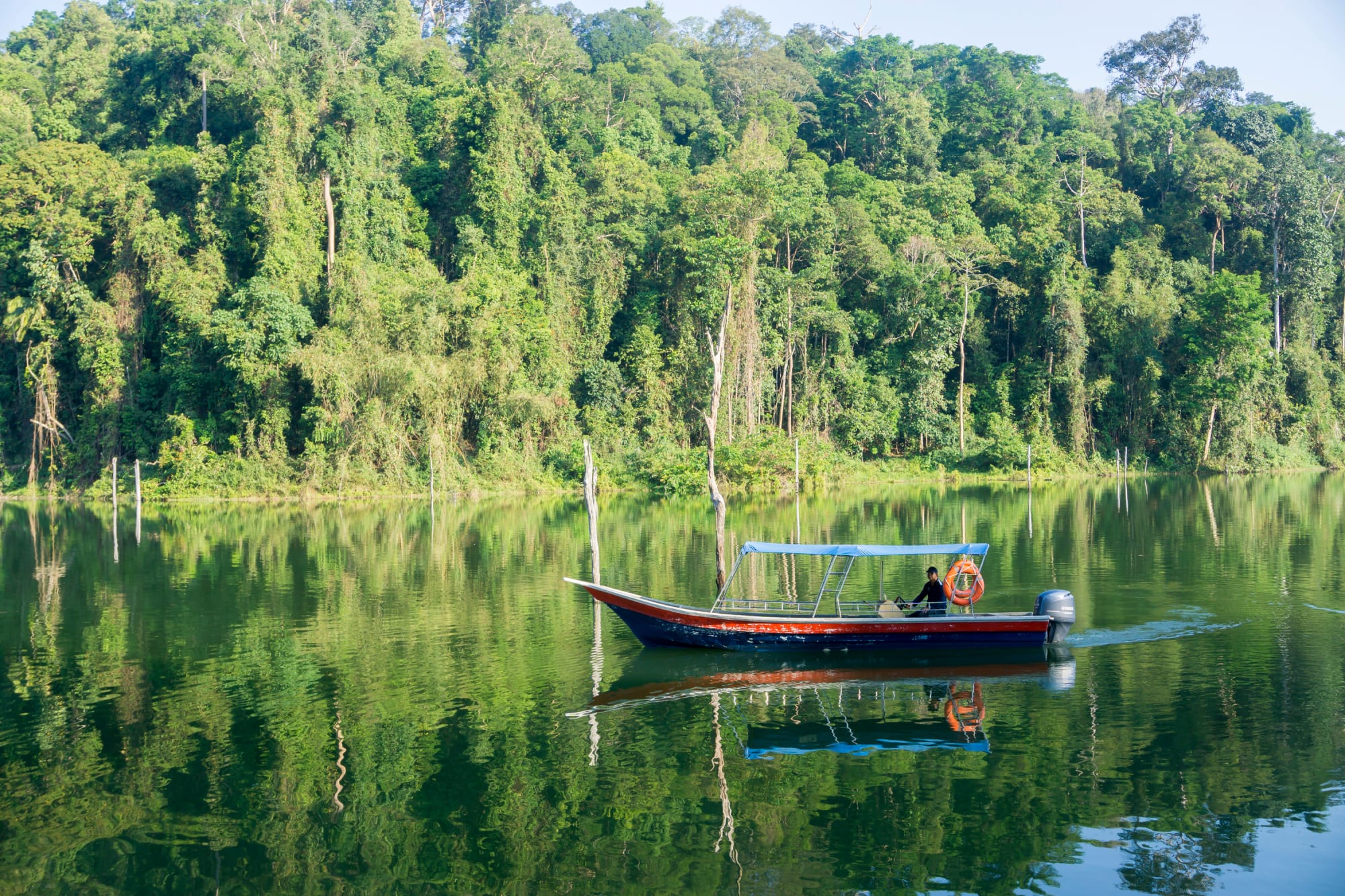 Naturerlebnis Belum Regenwald: Malaysia Belum Rainforest