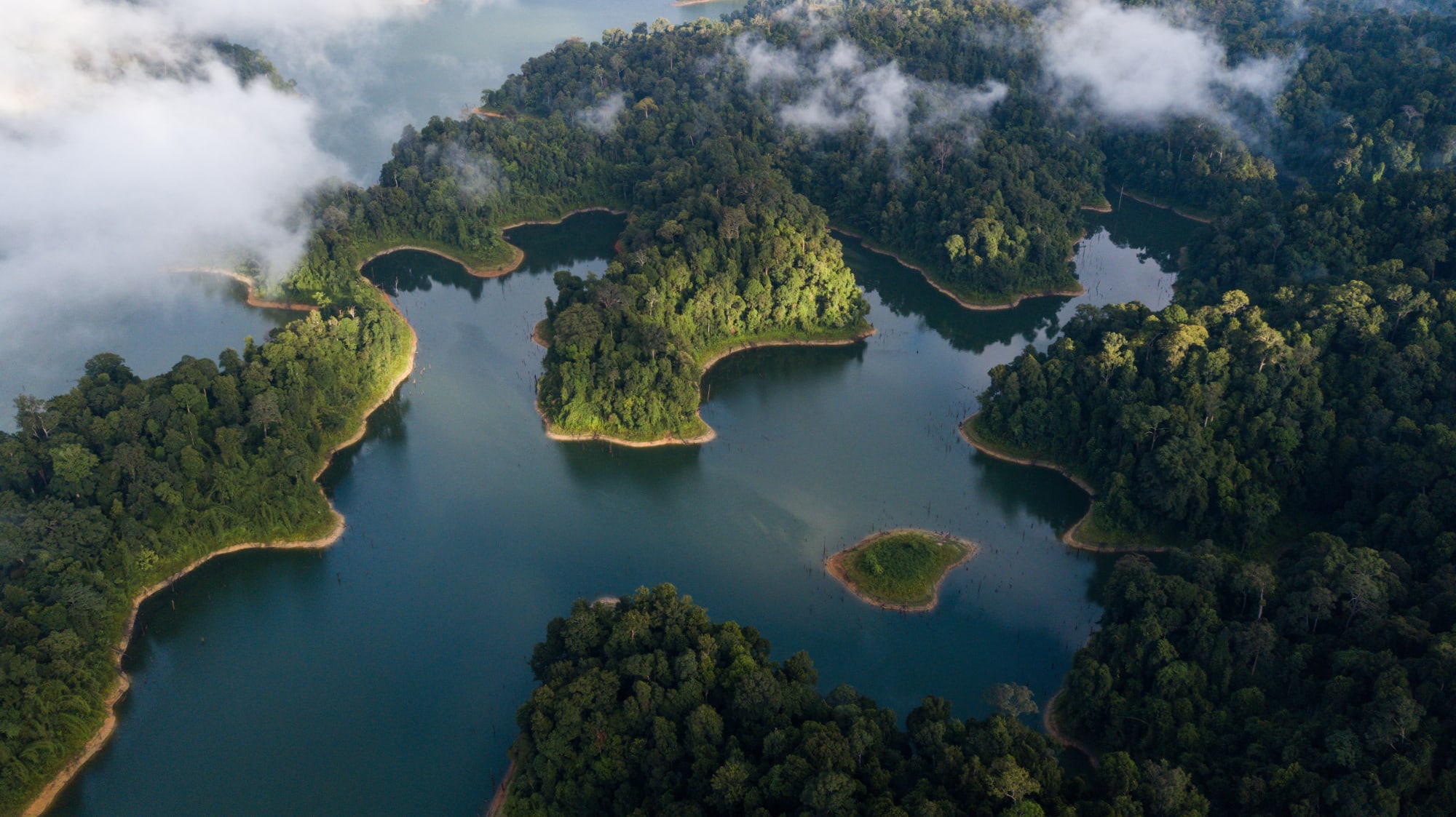 Naturerlebnis Belum Regenwald: Malaysia Banding Belum Rainforest