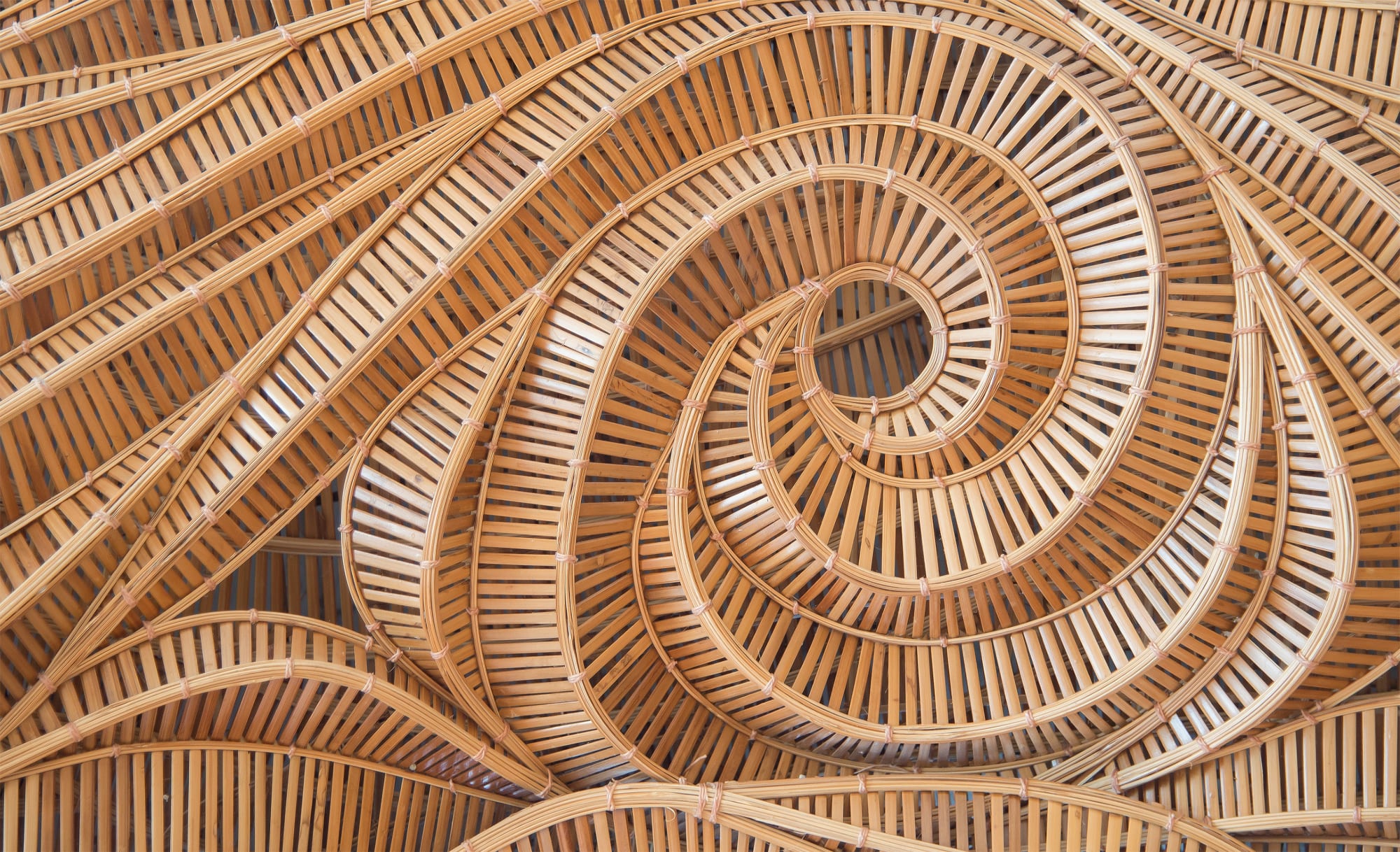 Bali Bamboo ab Süd-Bali: Indonesien Bali Bambus