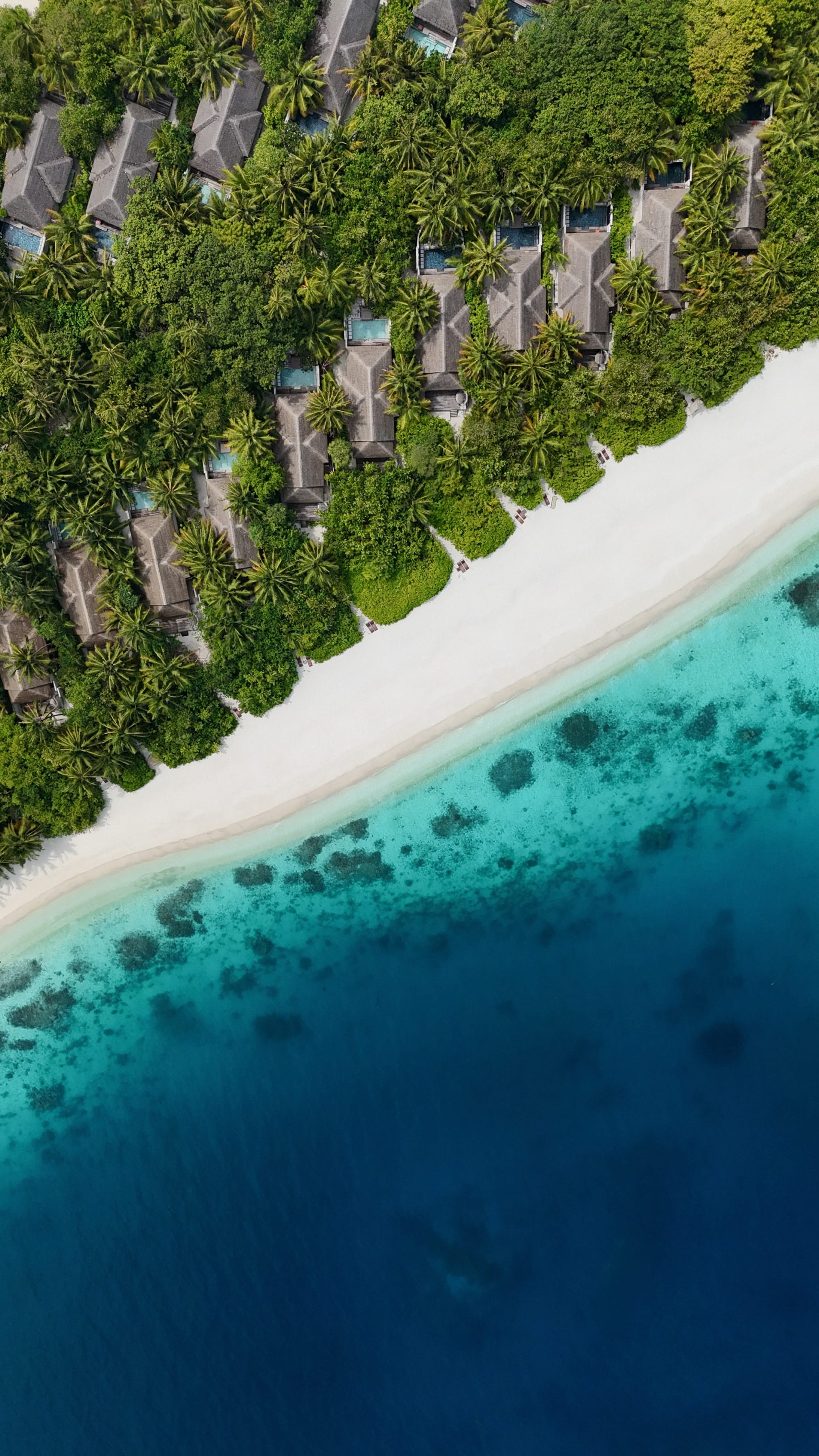 Coco Bodu Hithi in Malediven:  Coco Bodu Hithi