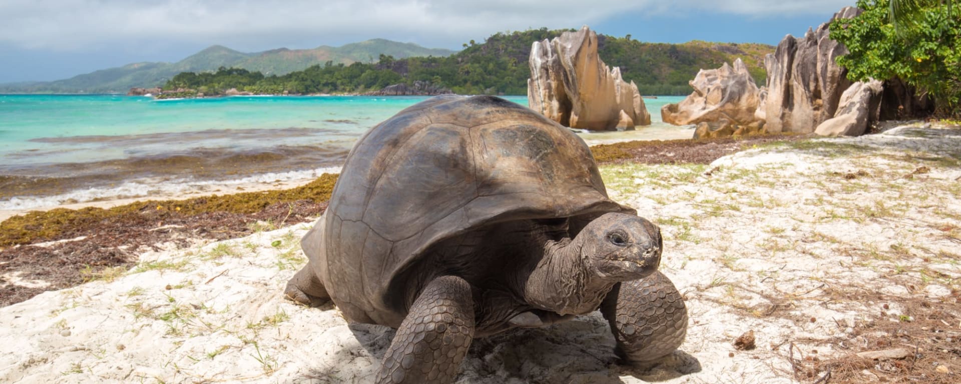 Islandhopping im Garten Eden (5 days/4 nights) ab Mahé: Seychellen Curieuse Island