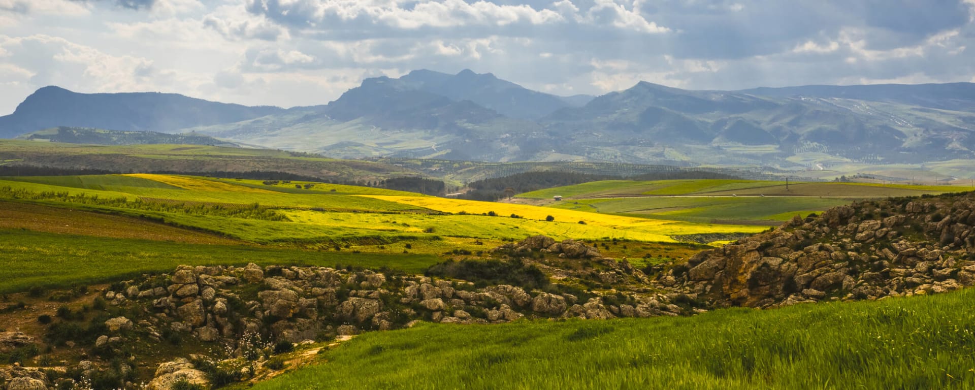Ifrane entdecken, DE, Ganztägig in Fès: Marokko Ifrane Landschaft