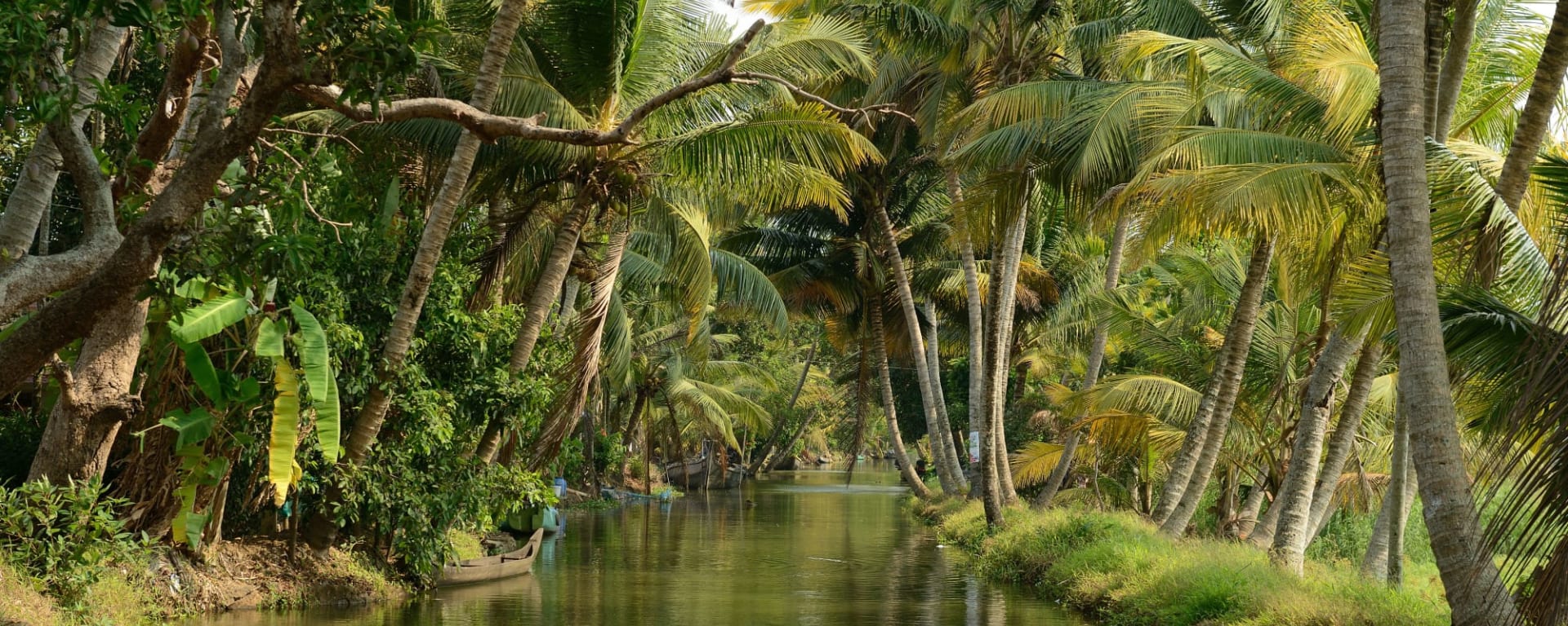 Backwaters Intensiv ab Kerala | Malabarküste | Kochi: Indien Kerala Backwaters