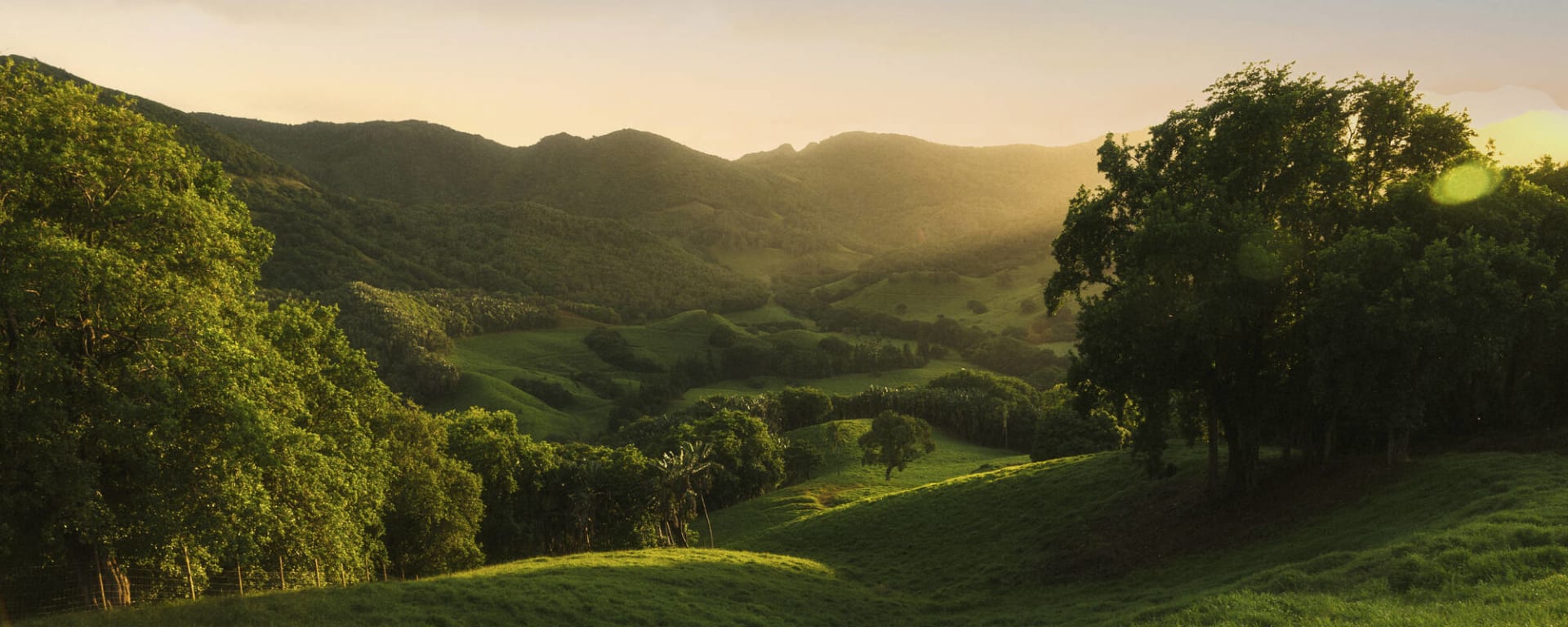 La Vallée de Ferney in Osten: Mauritius La Vallee de Ferney