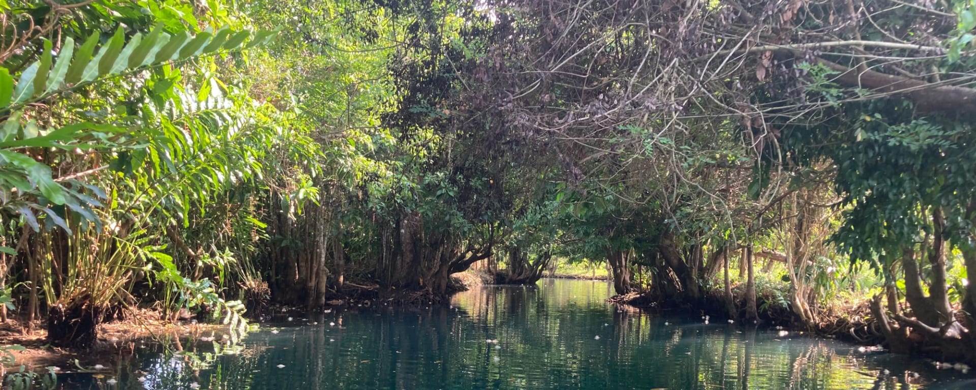 Zwischen Felsen, Lagunen und Palmen, EN, Ganztägig in Siargao: Philippinen Maasin River Siargao