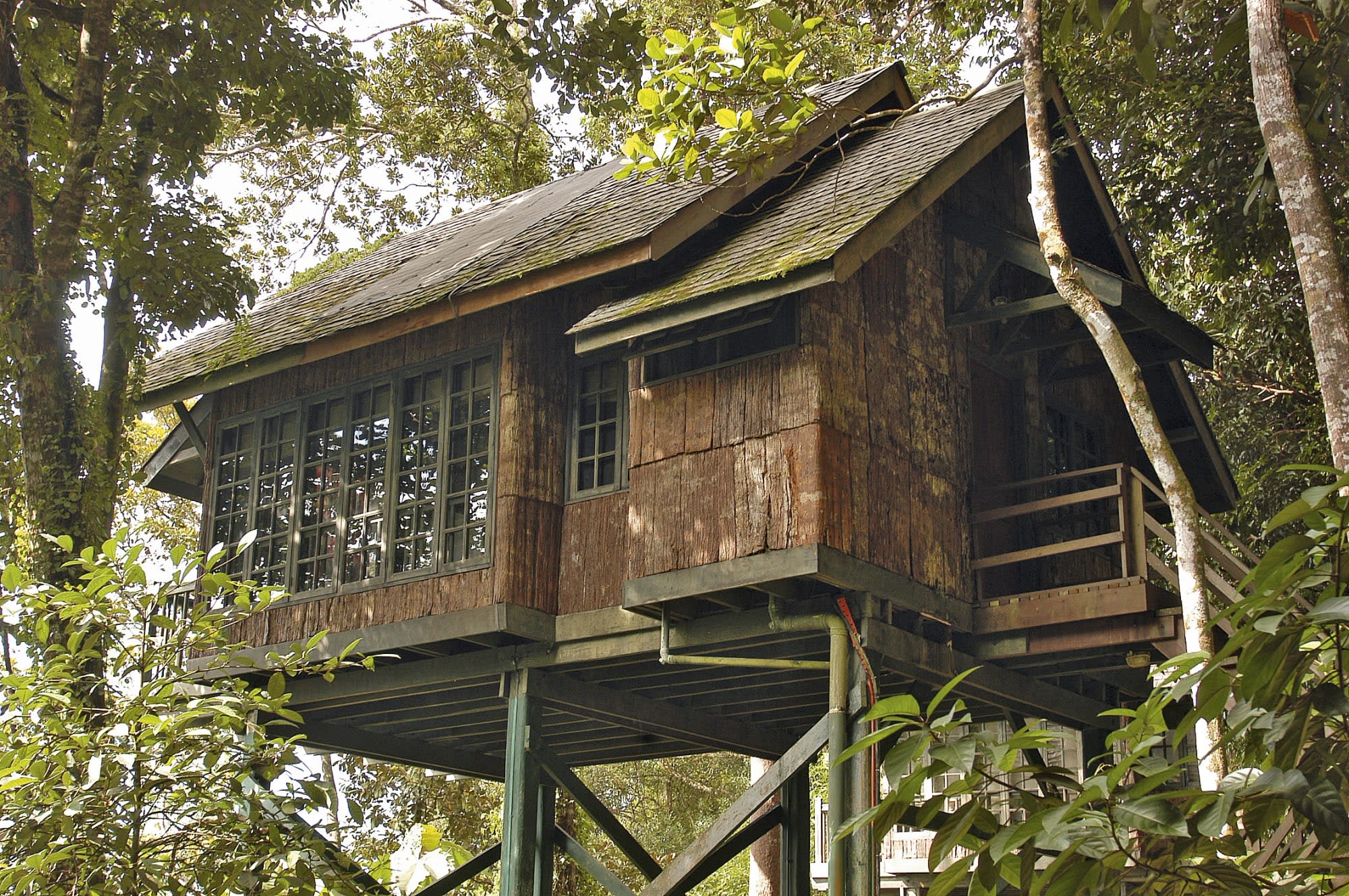 Permai Rainforest Resort in Kuching:  Borneo Sarawak Permai Rainforest Resort