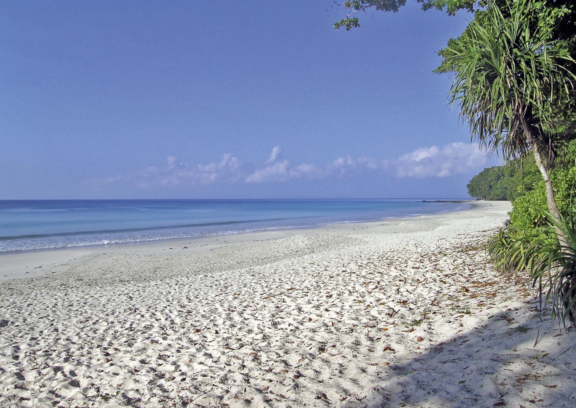 Barefoot Jungle Resort in Andamanen: 5in-barefoot-jungle-resort-andamanen_02