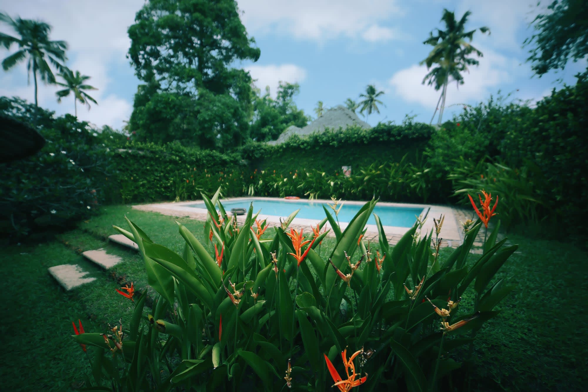 Marari Beach Resort in Kerala | Malabarküste | Kochi: Indien Marari Beach Resort
