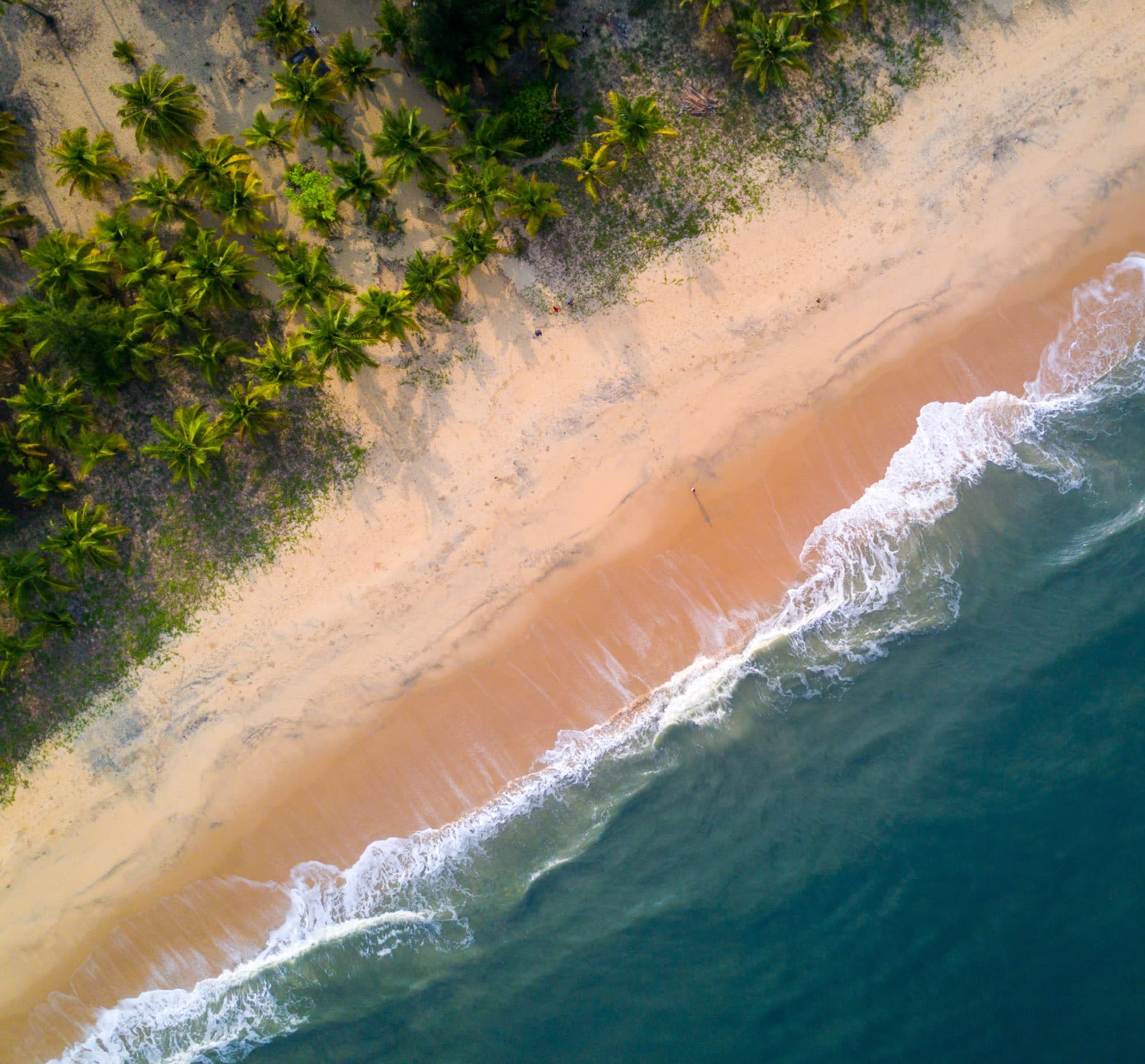 Marari Beach Resort in Kerala | Malabarküste | Kochi: Indien Marari Beach Resort