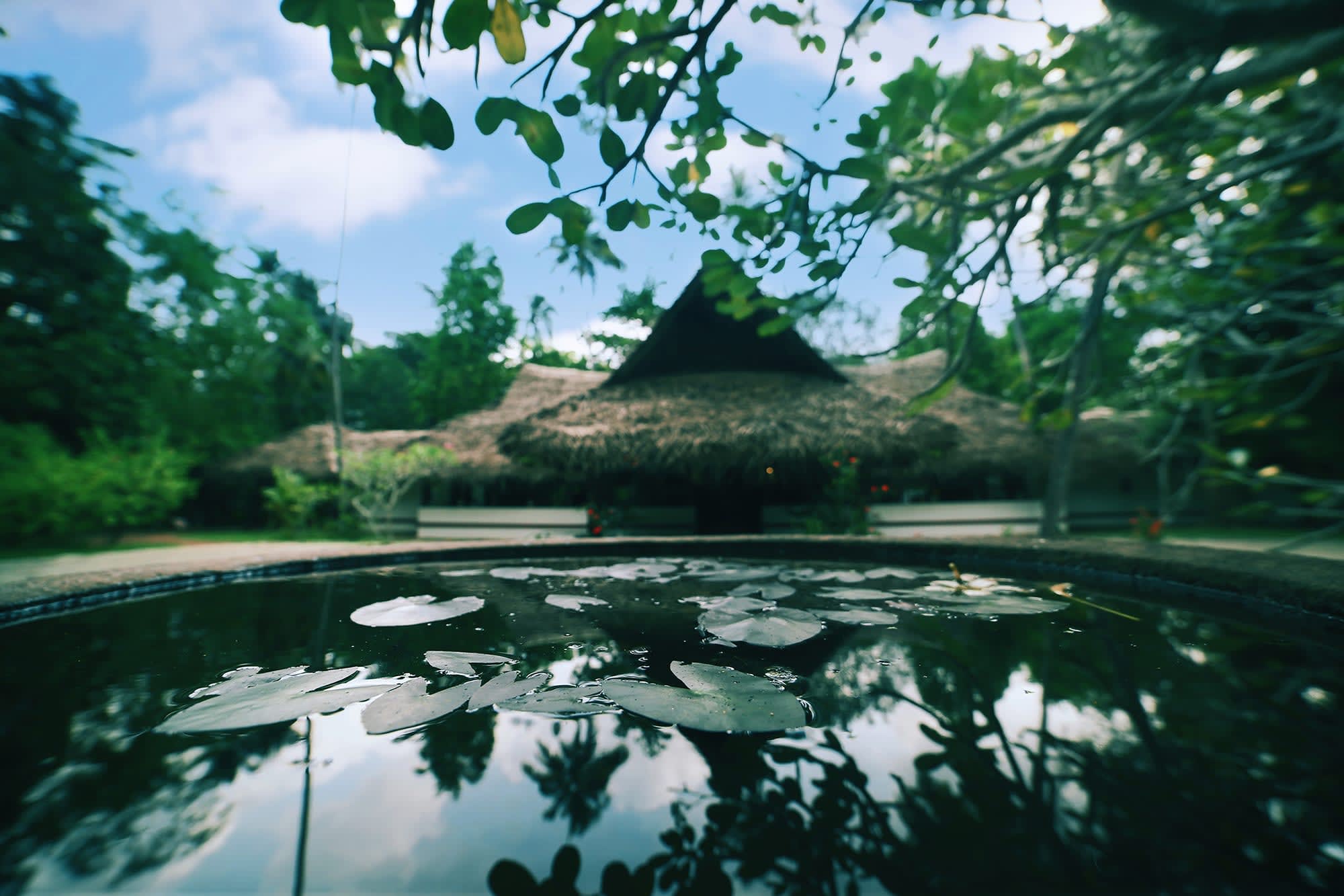 Marari Beach Resort in Kerala | Malabarküste | Kochi: Indien Marari Beach Resort