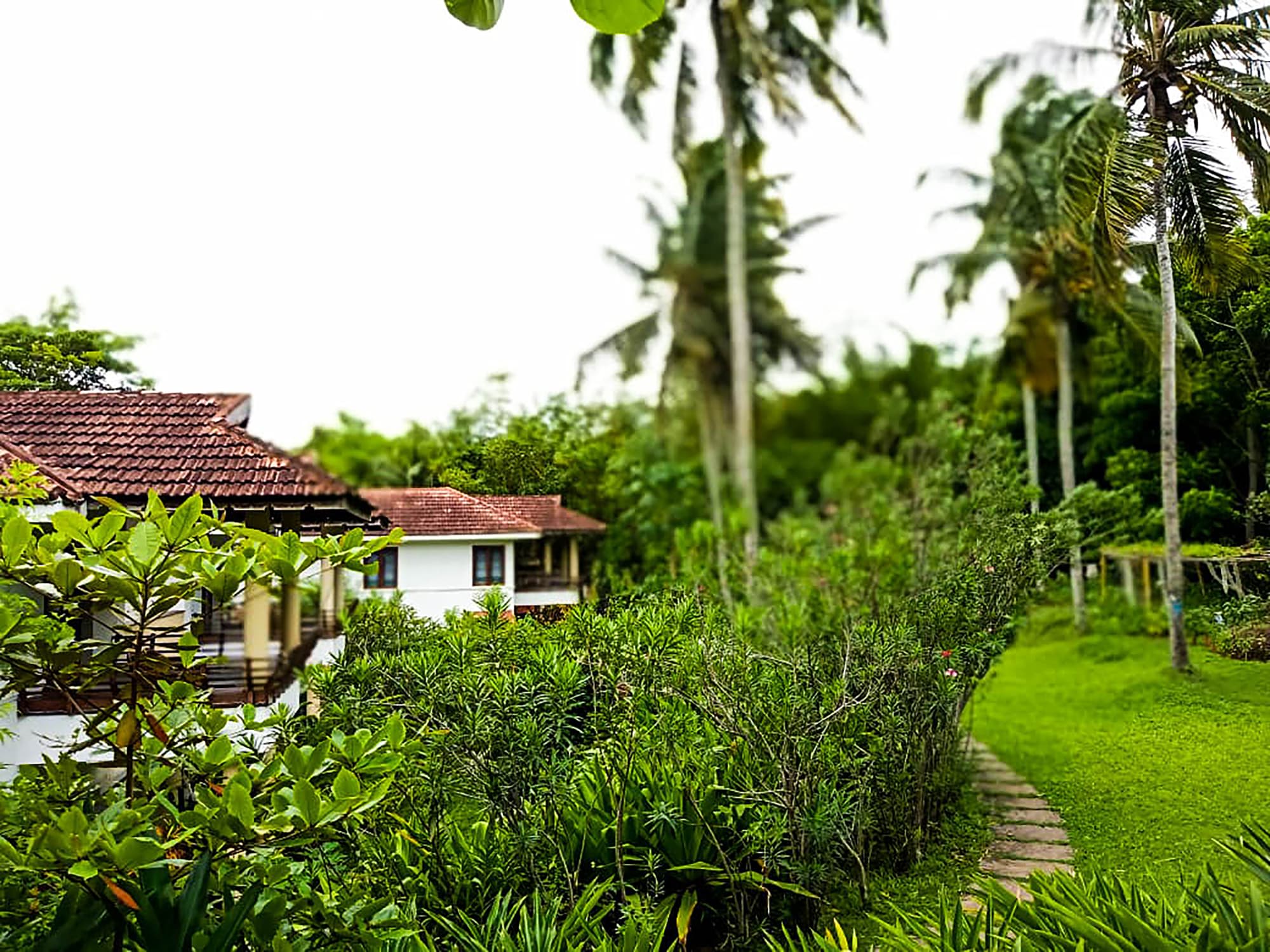 Niraamaya Retreats Surya Samudra in Kerala | Malabarküste | Kochi: Niraamaya Retreats Surya Samudra