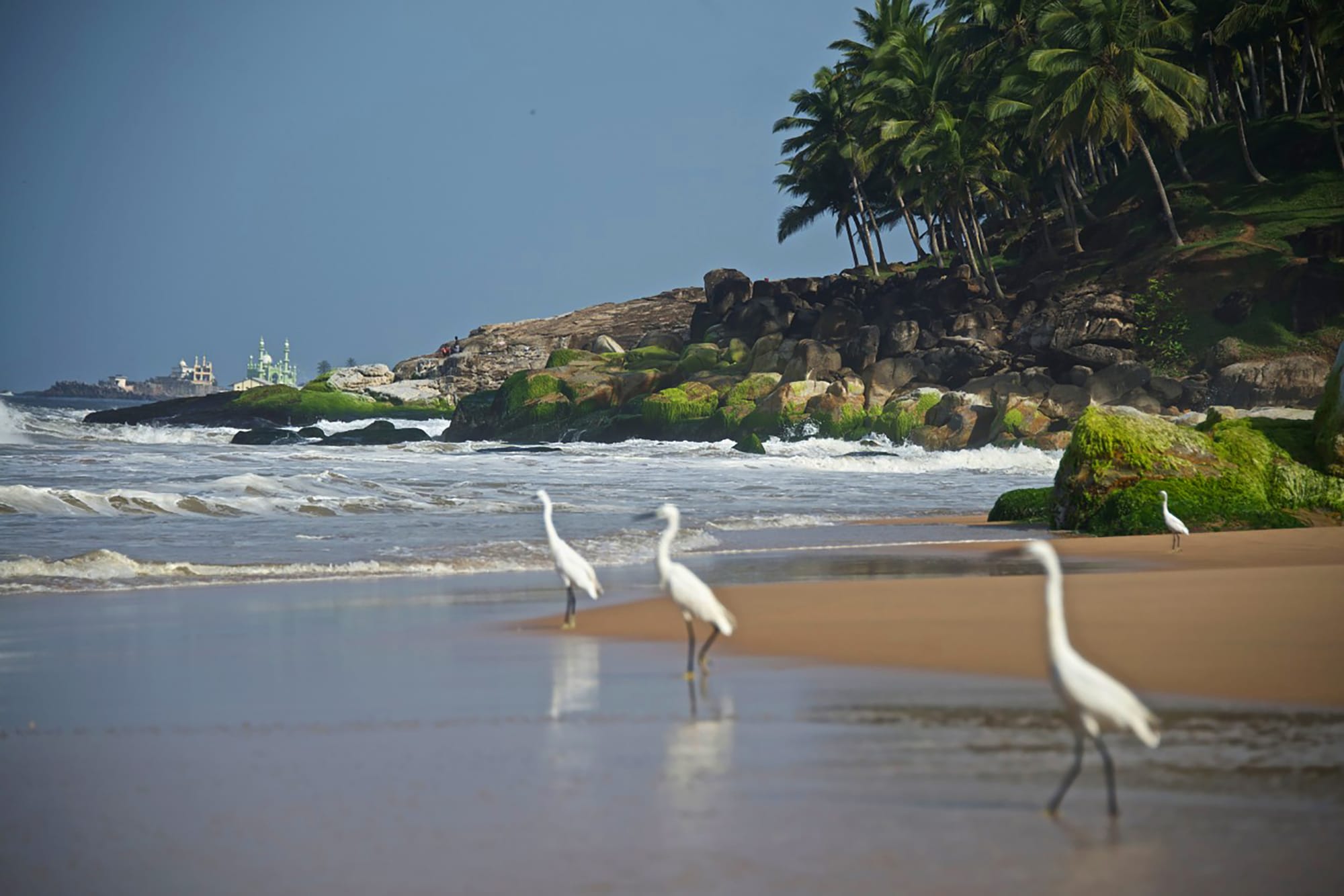 Niraamaya Retreats Surya Samudra in Kerala | Malabarküste | Kochi: Niraamaya Retreats Surya Samudra