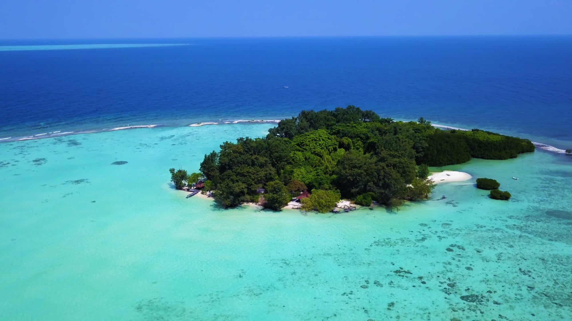 Kura Kura Resort in Karimunjawa: Kura Kura Resort