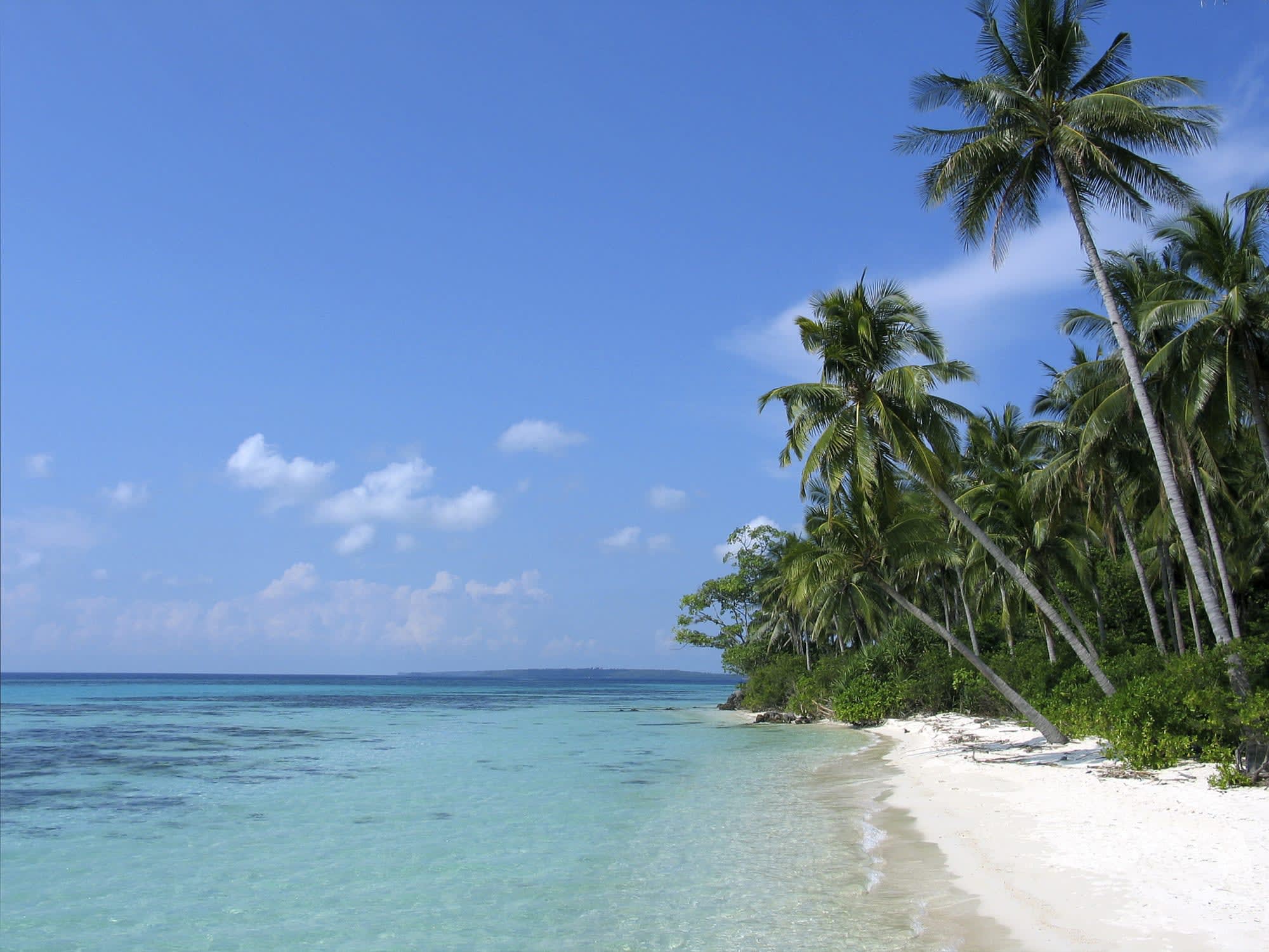Kura Kura Resort in Karimunjawa: Indonesien Kura Kura Resort Strand