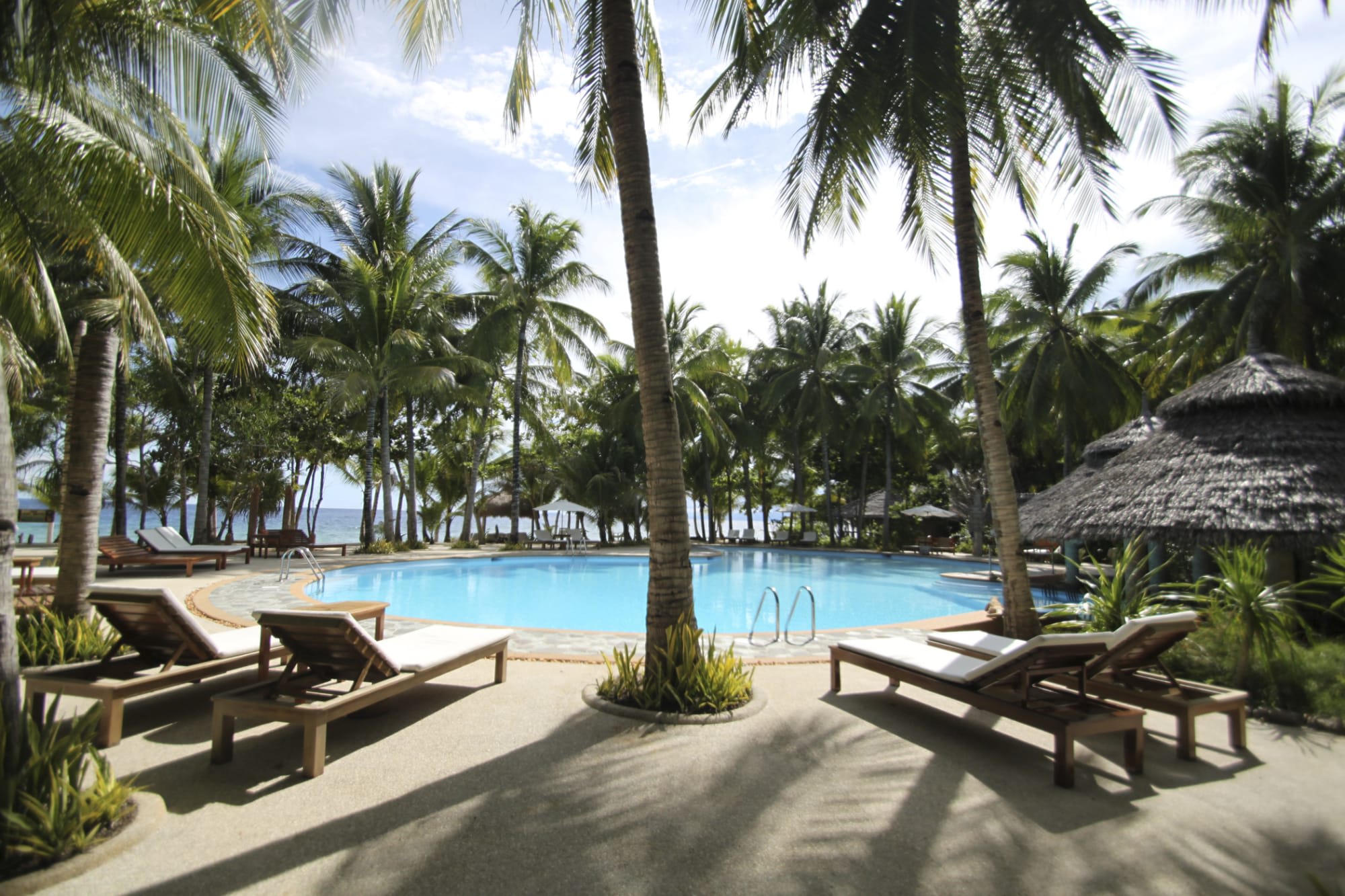 Coco Grove Beach Resort in Siquijor: Coco Grove Beach Resort Pool
