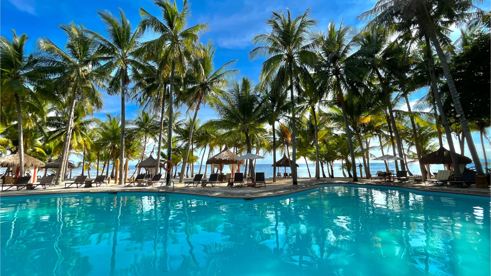 Coco Grove Beach Resort in Siquijor: Coco Grove Beach Resort Pool