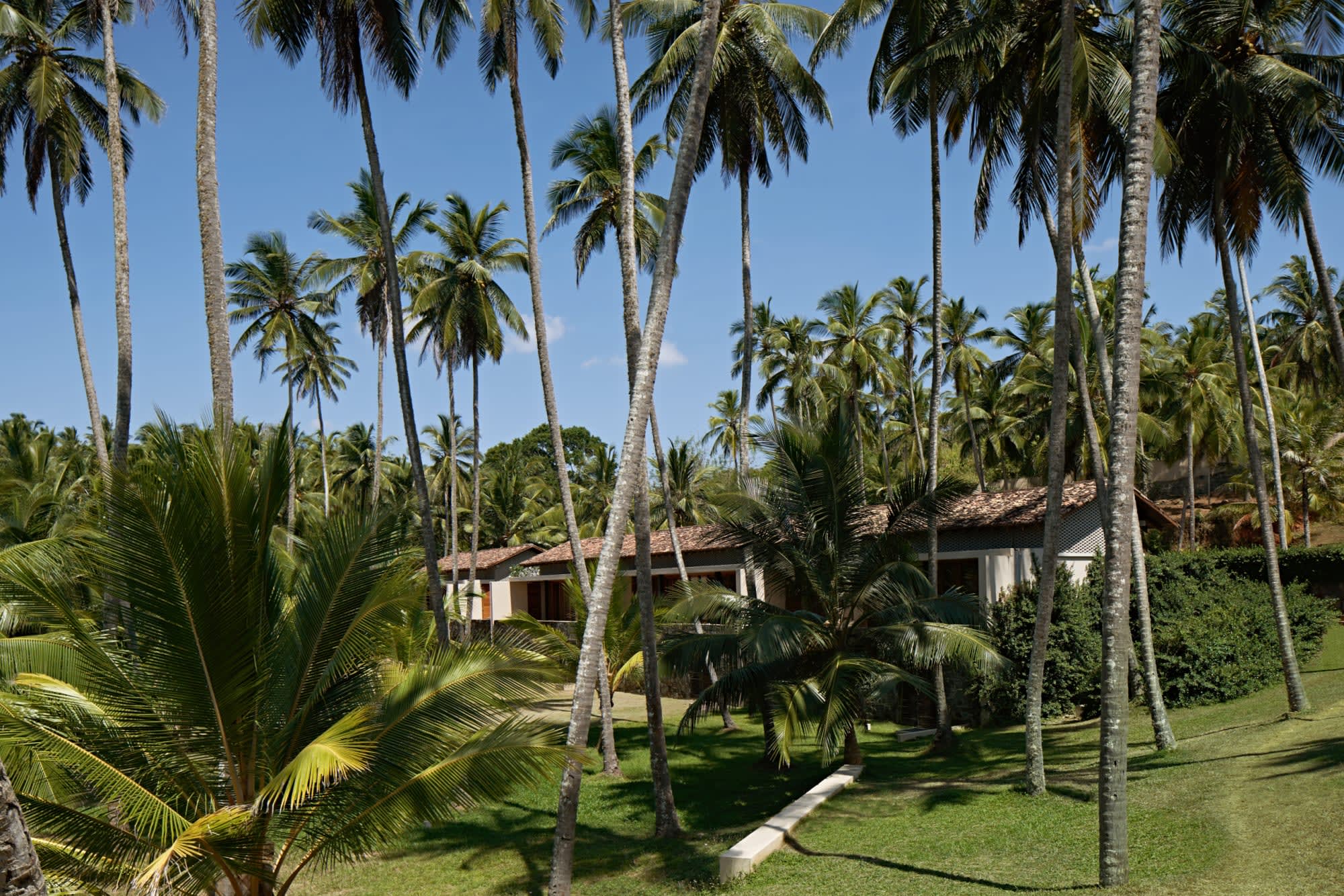 Amanwella in Südküste: Sri Lanka Amanwella Garten