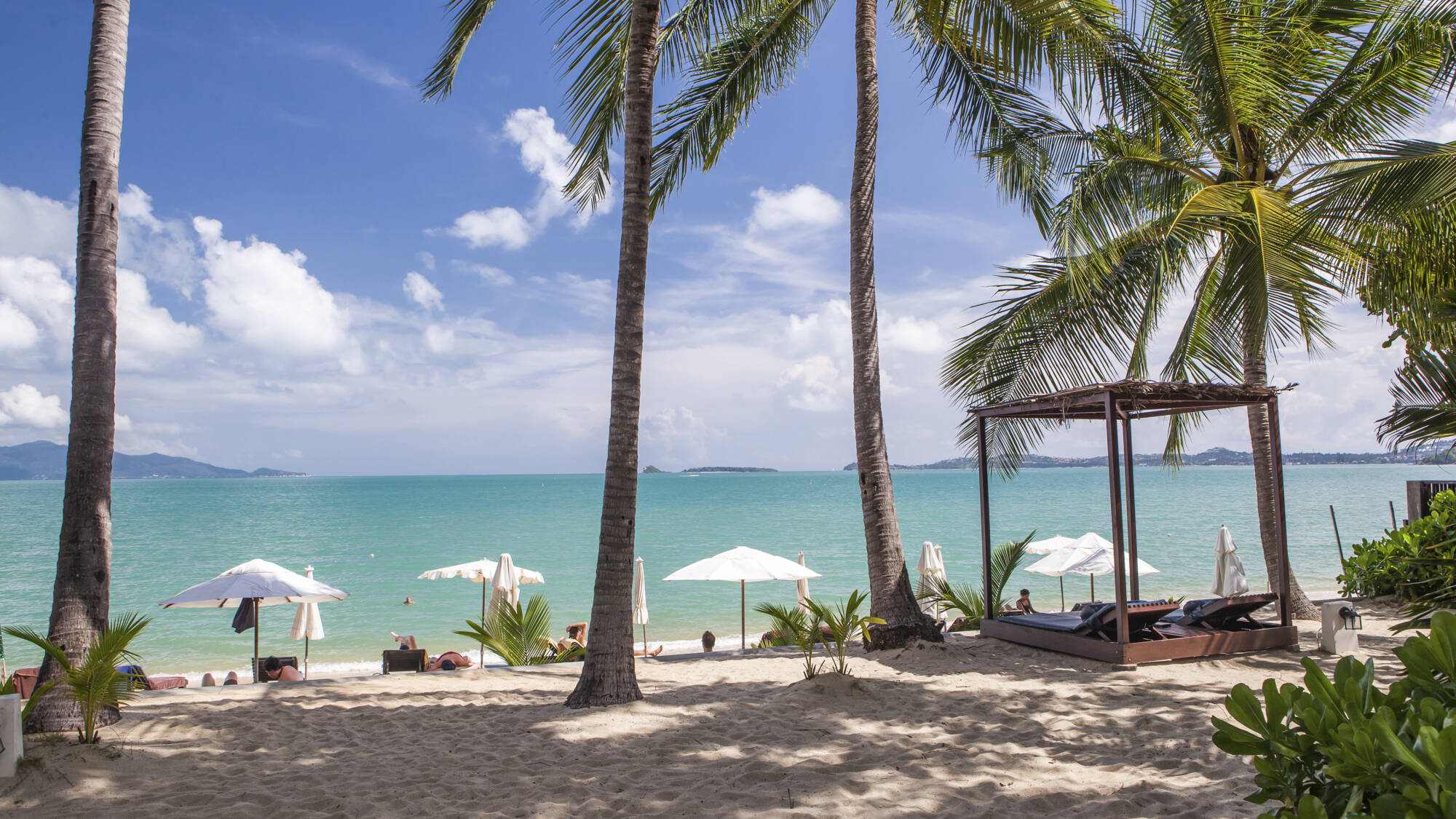 NH Collection Samui Peace Resort in Ko Samui: Thailand Peace Resort Strand