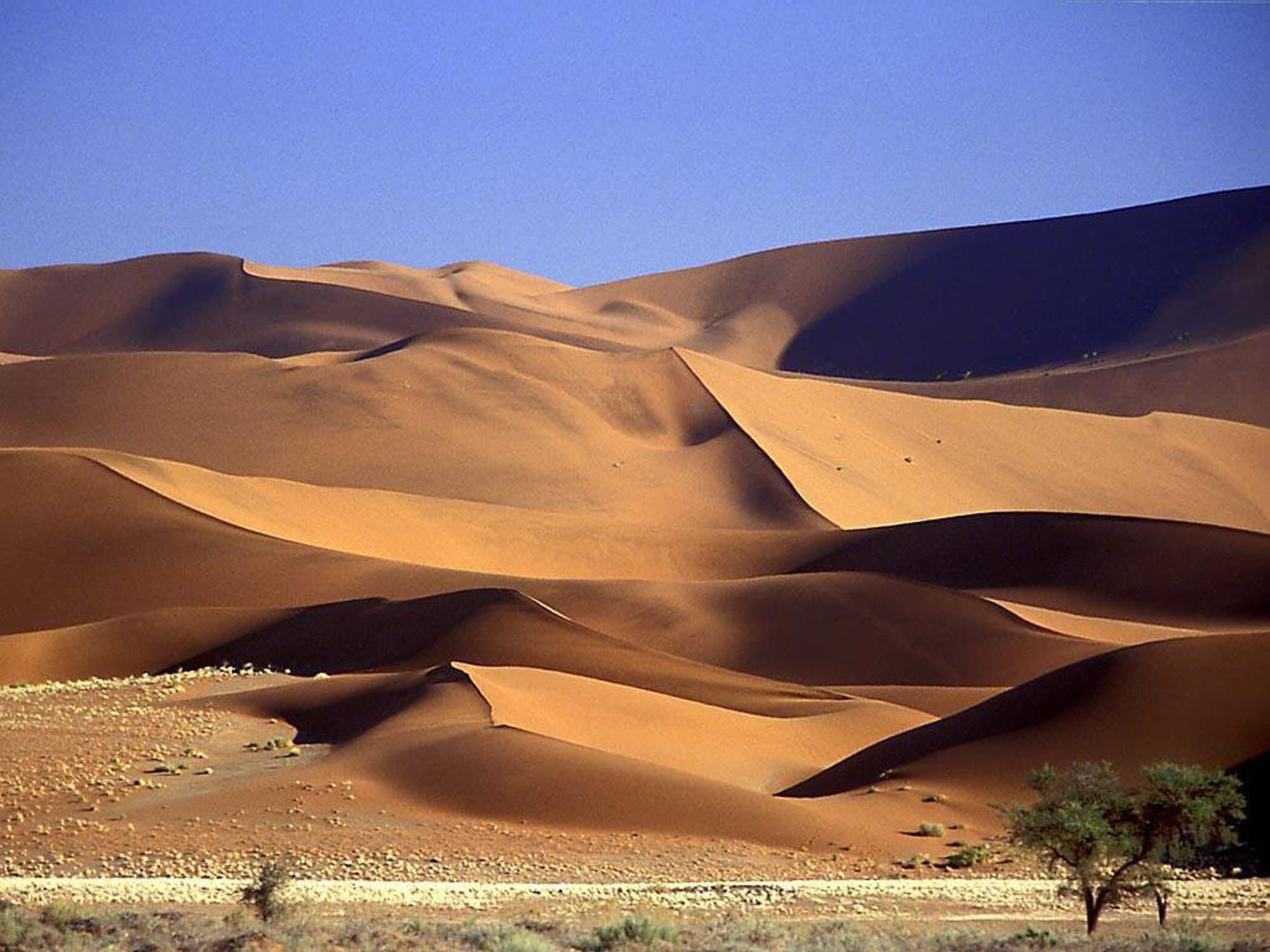 Safari Desert Camp in Wüste:  Oman Safari Desert Camp Wüste