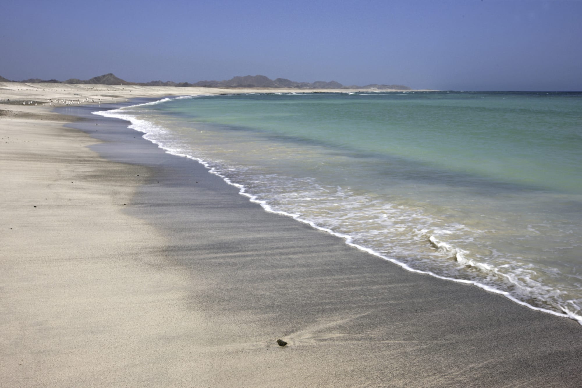 Masirah Island Resort in Küste: Mariah Island, Masirah Island Resort Strand