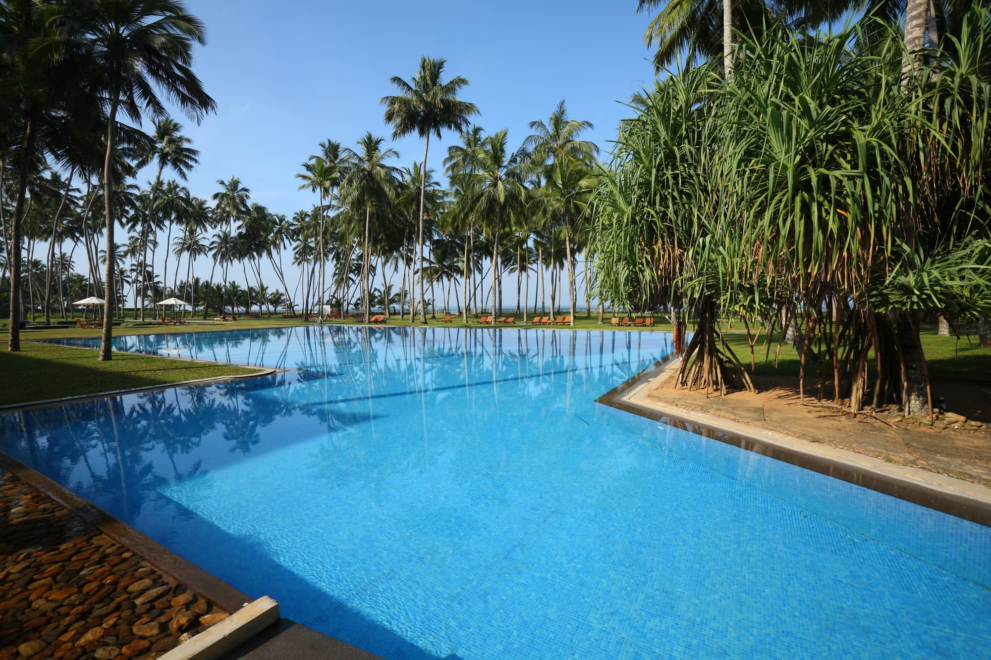 The Blue Water in Westküste: Sri Lanka The Blue Water Pool