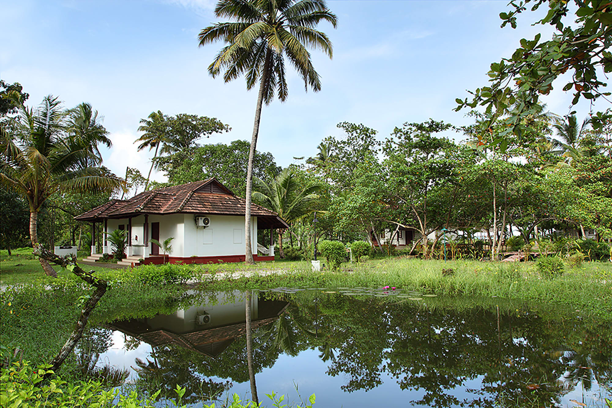 Abad Turtle Beach in Kerala | Malabarküste | Kochi: Indien Abad Turtle Beach