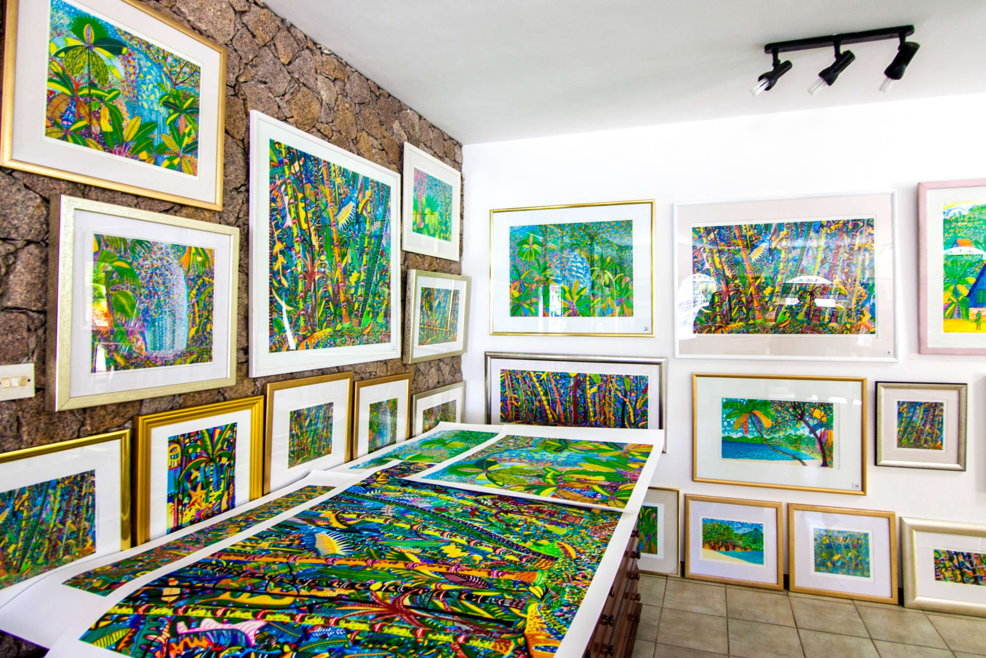 Valmer Resort in Mahé:  Valmer Resort - Art Gallery
