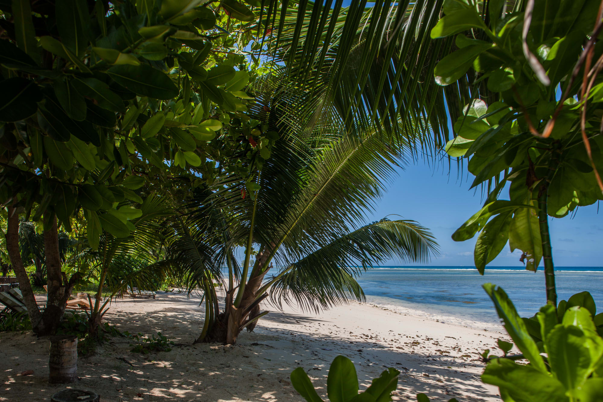 Le Repaire Boutique Hotel in La Digue:  Le Repaire Boutique Hotel - Strand