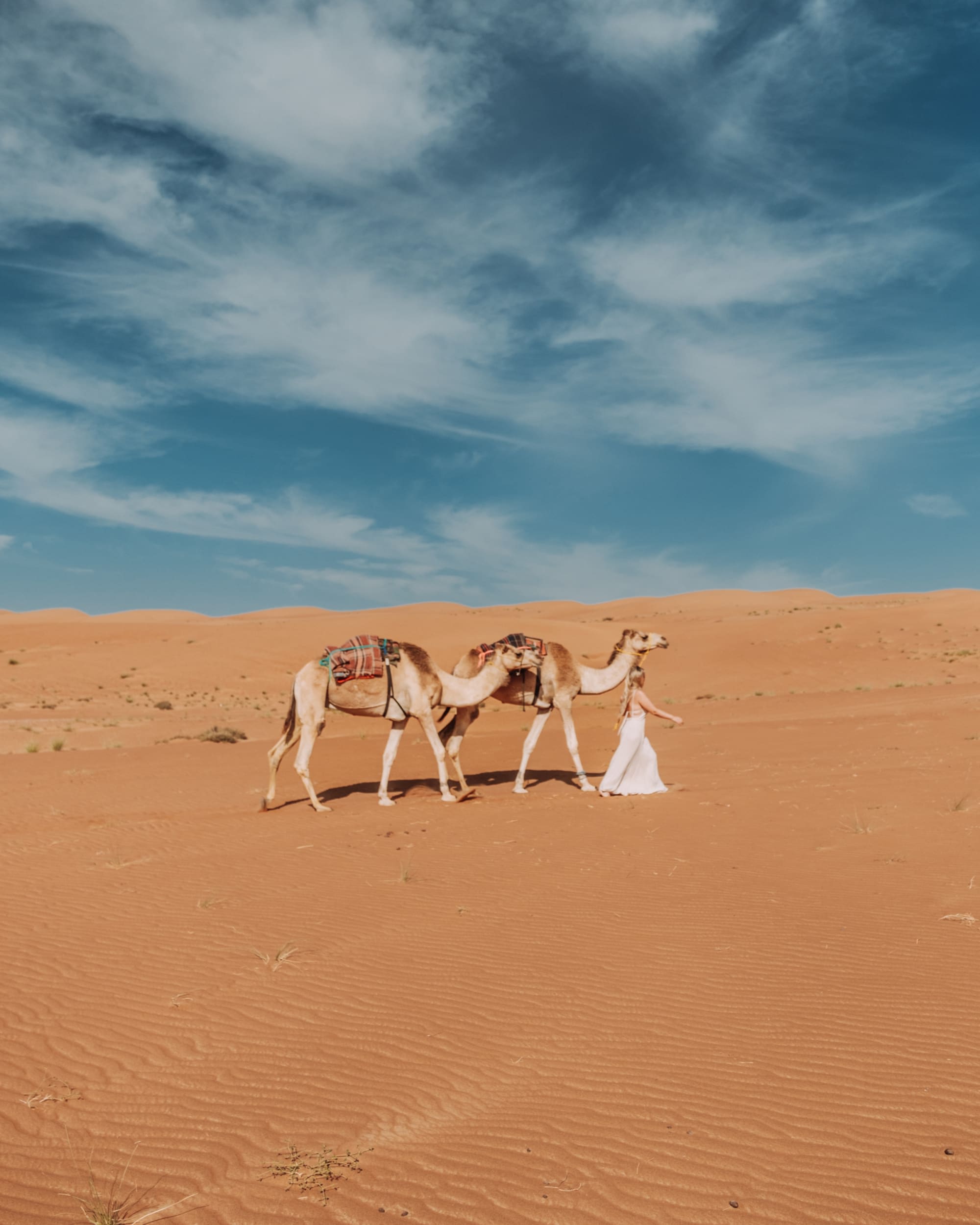 Sama Al Wasil Camp in Wüste: Oman Sama Al Wasil Camp