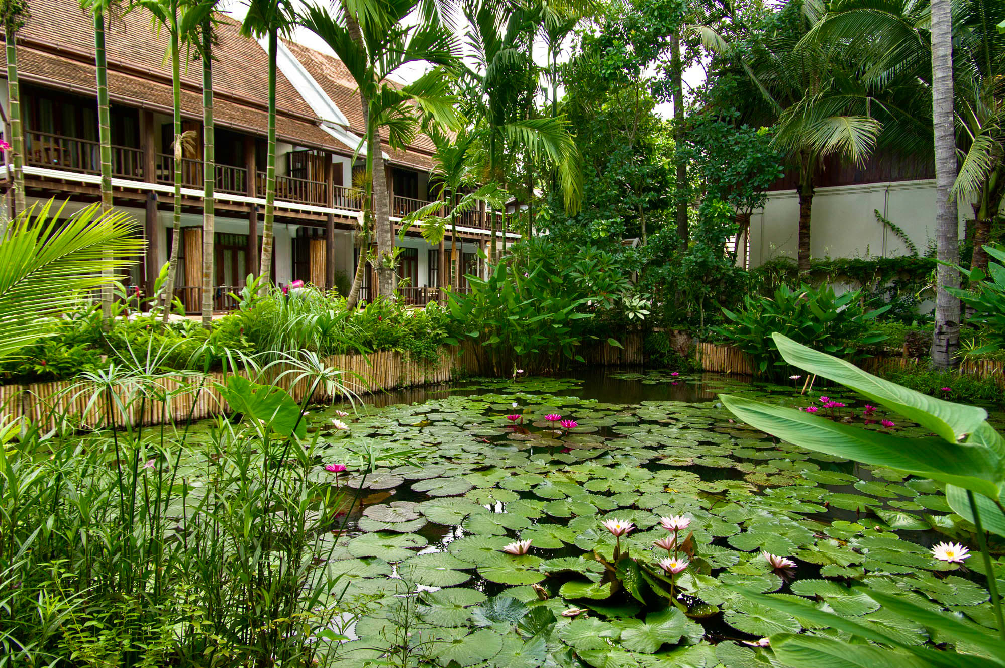 Maison Dalabua in Luang Prabang:  Laos Maison Dalabua Garden Pond