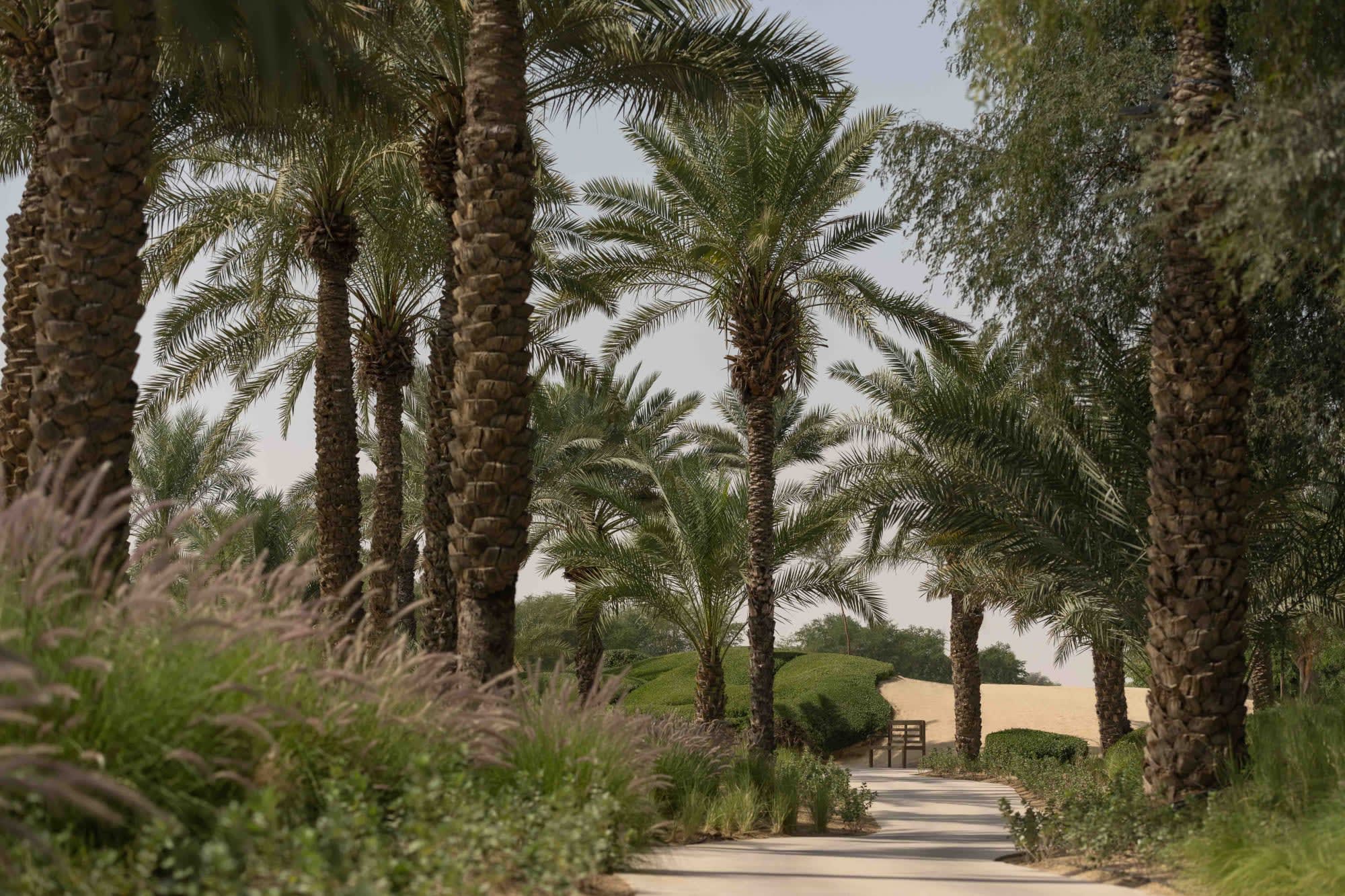 Bab al Shams Desert Resort & Spa in Dubai: Bab al Shams Desert Resort and Spa