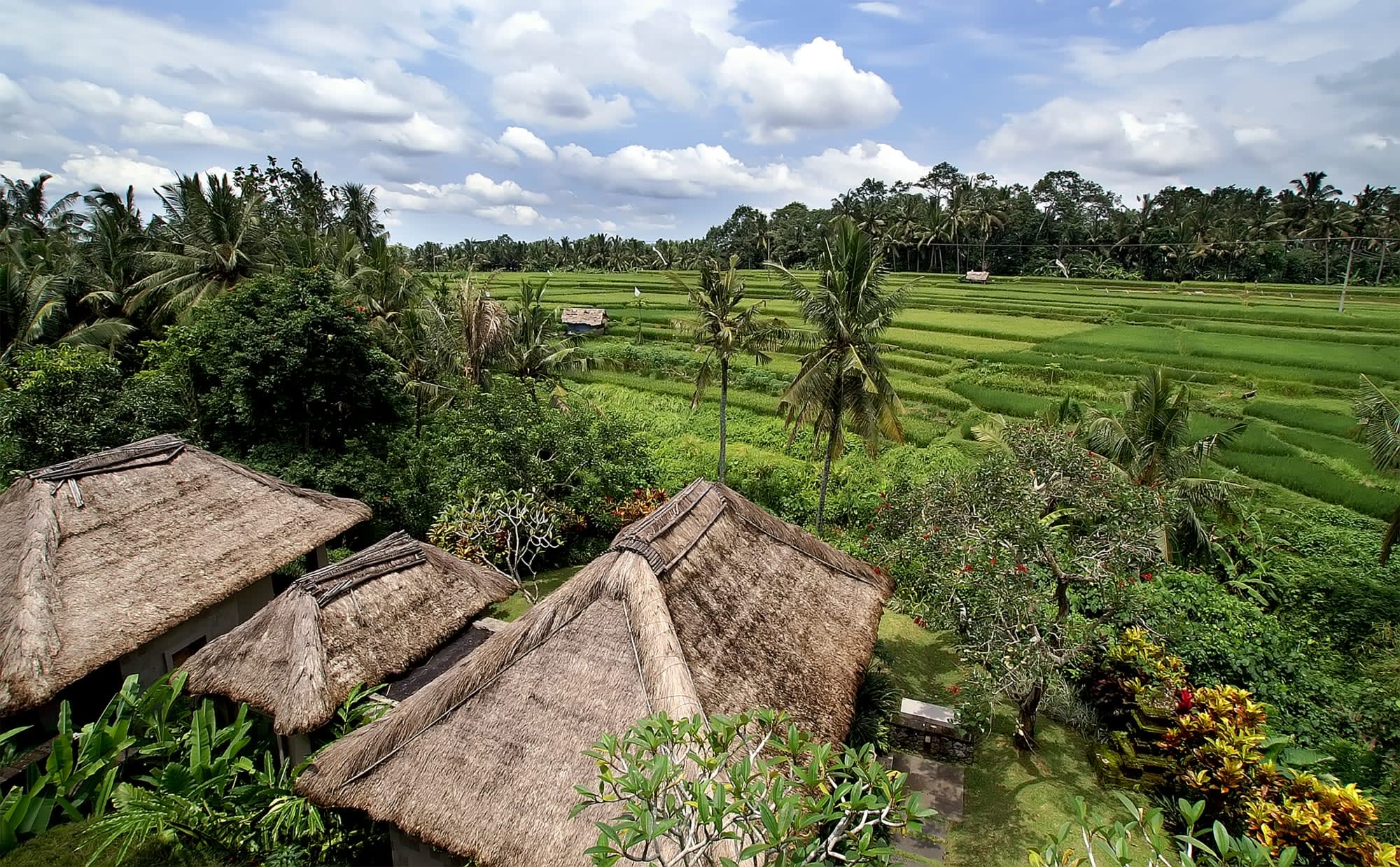 Maya Ubud Resort & Spa in Zentral-Bali | Ubud: May Ubud Resort and Spa