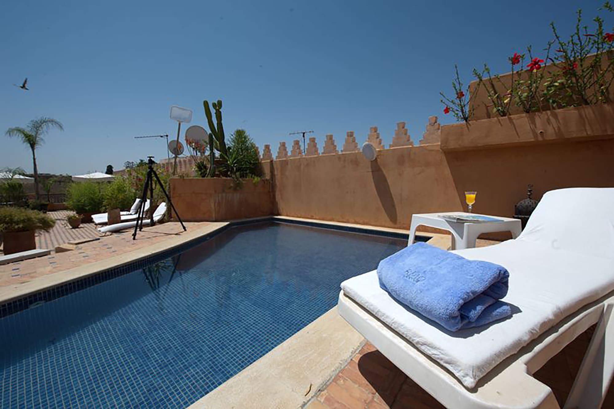 Riad Yacout in Meknès: Marokko Riad Yacout Pool