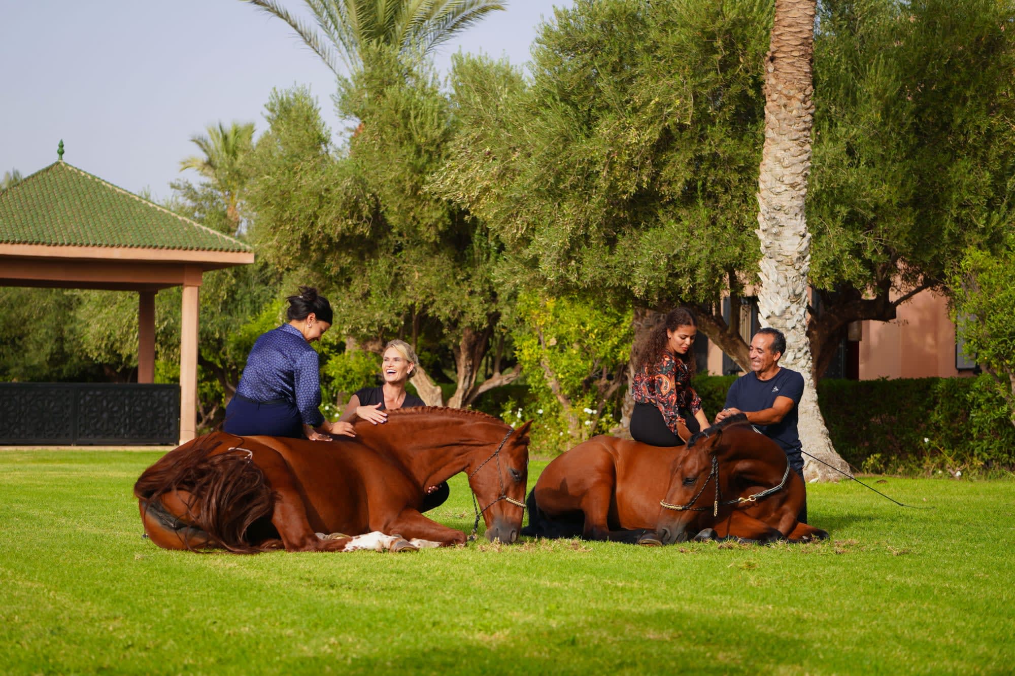 Selman Marrakesch:  Selman Marrakesch