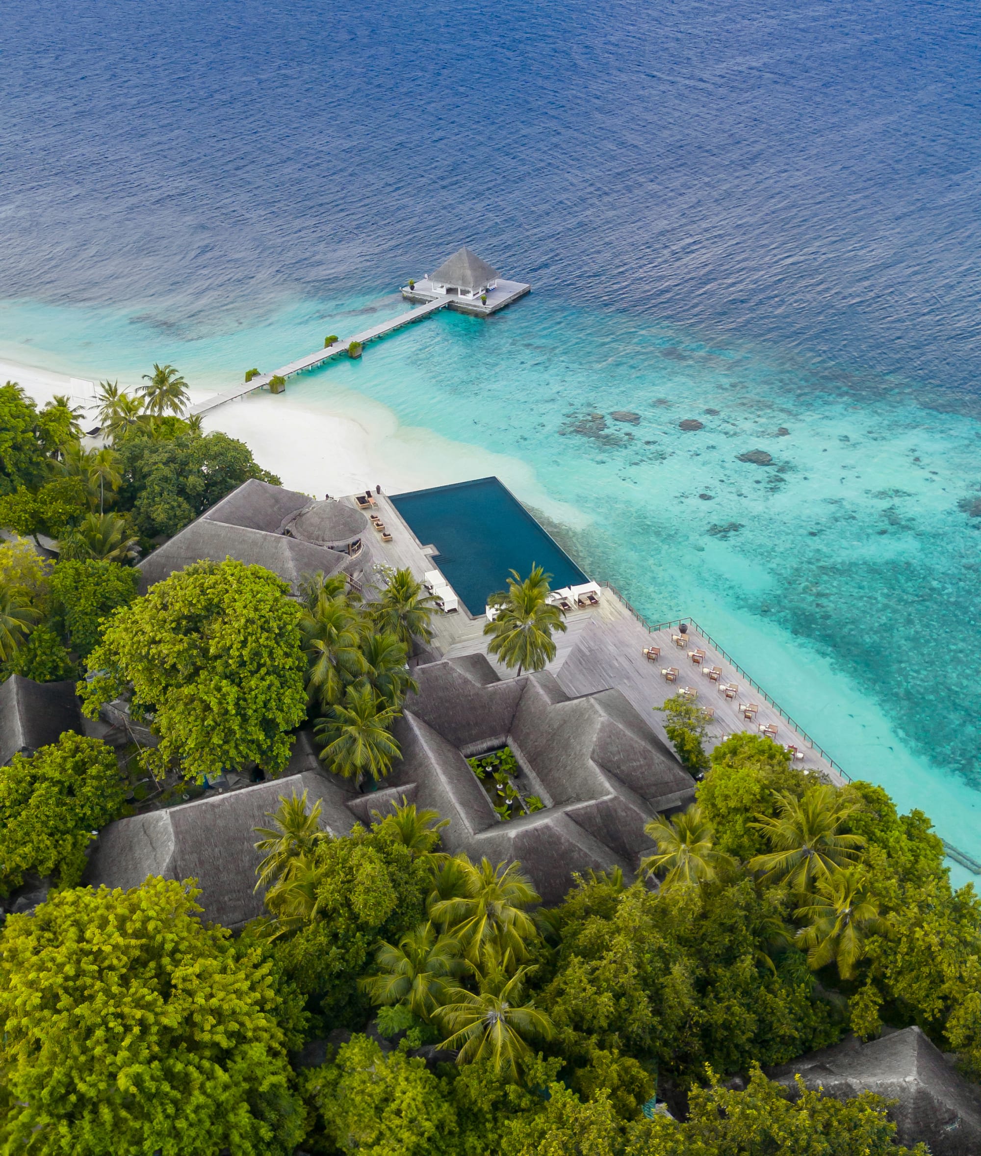 Coco Bodu Hithi in Malediven: Coco Bodu Hithi - Pool Strand