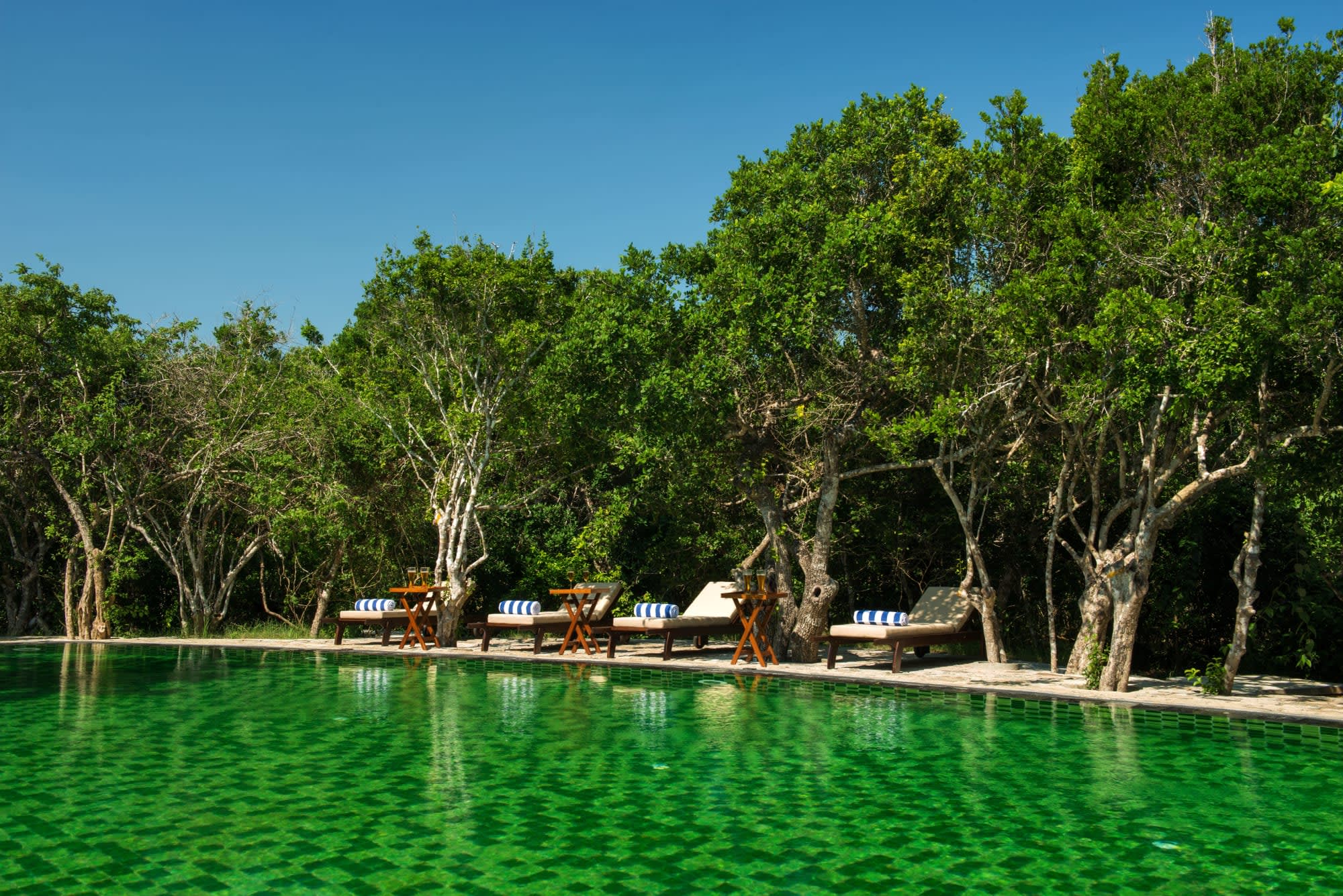 Uga Chena Huts in Yala National Park: 5lk-chena huts-pool-2016