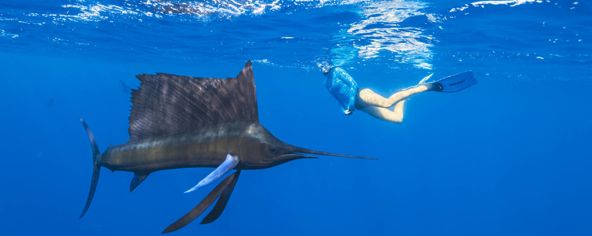 Alphonse Island Resort in Outer Islands: Alphonse Island Resort