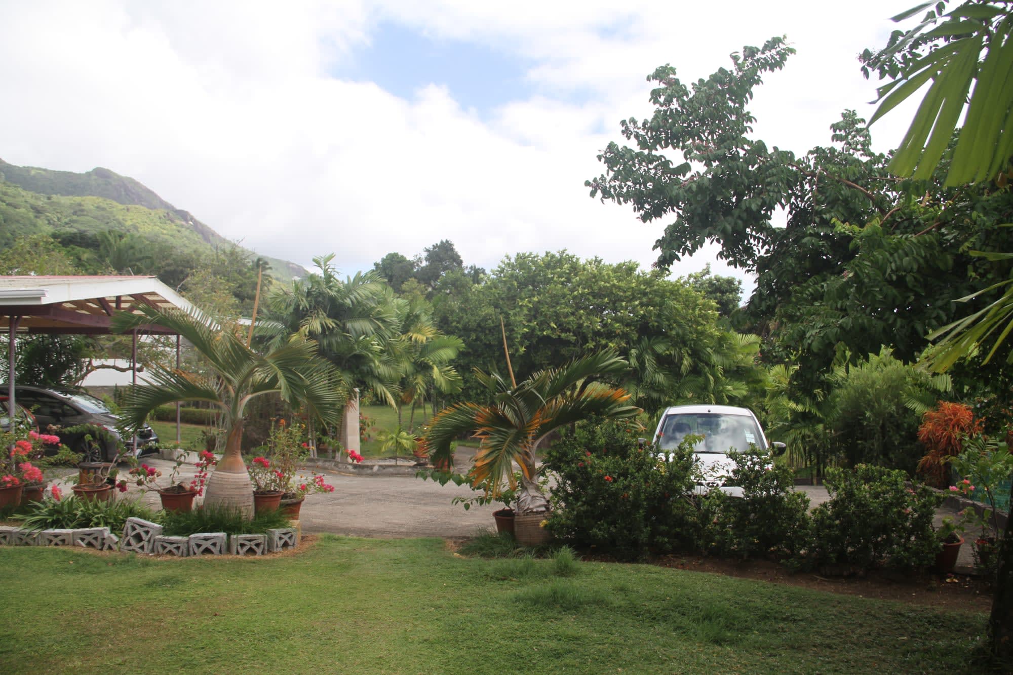 Daniella's Bungalows in Mahé:  Daniellas Bungalows