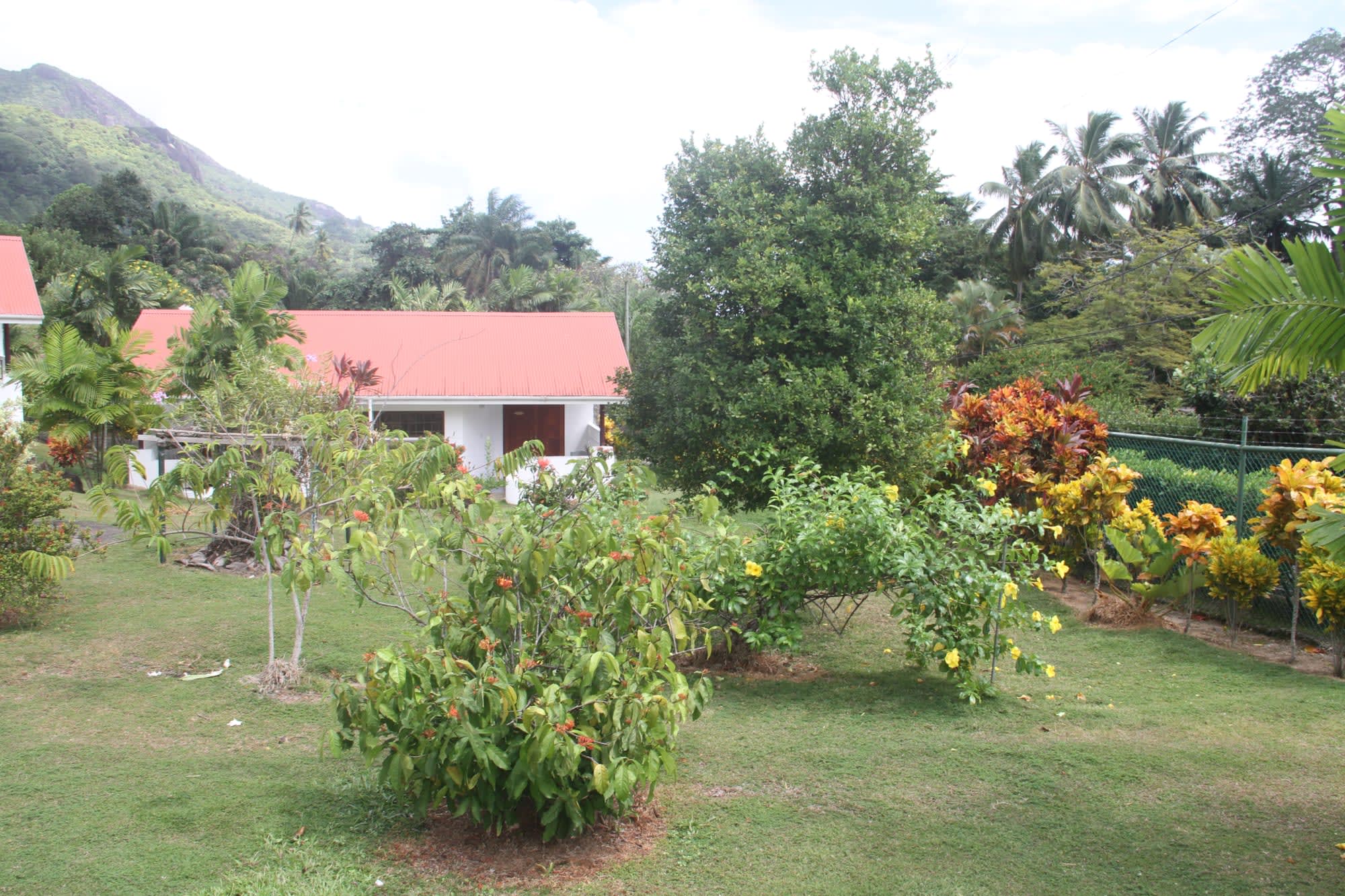 Daniella's Bungalows in Mahé:  Daniellas Bungalows Garten