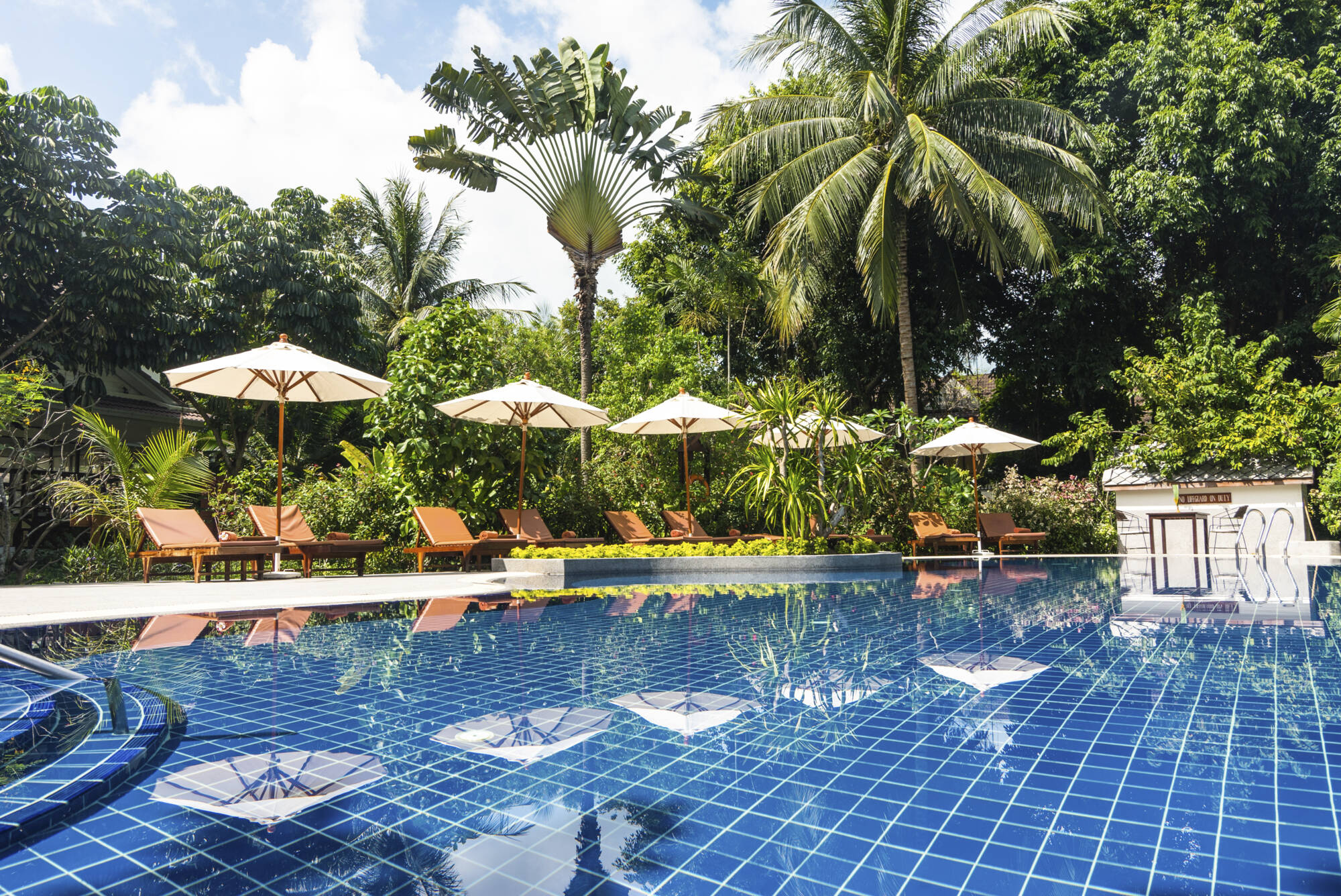 Paradise Beach Resort in Ko Samui:  Thailand Paradise Beach Resort Pool