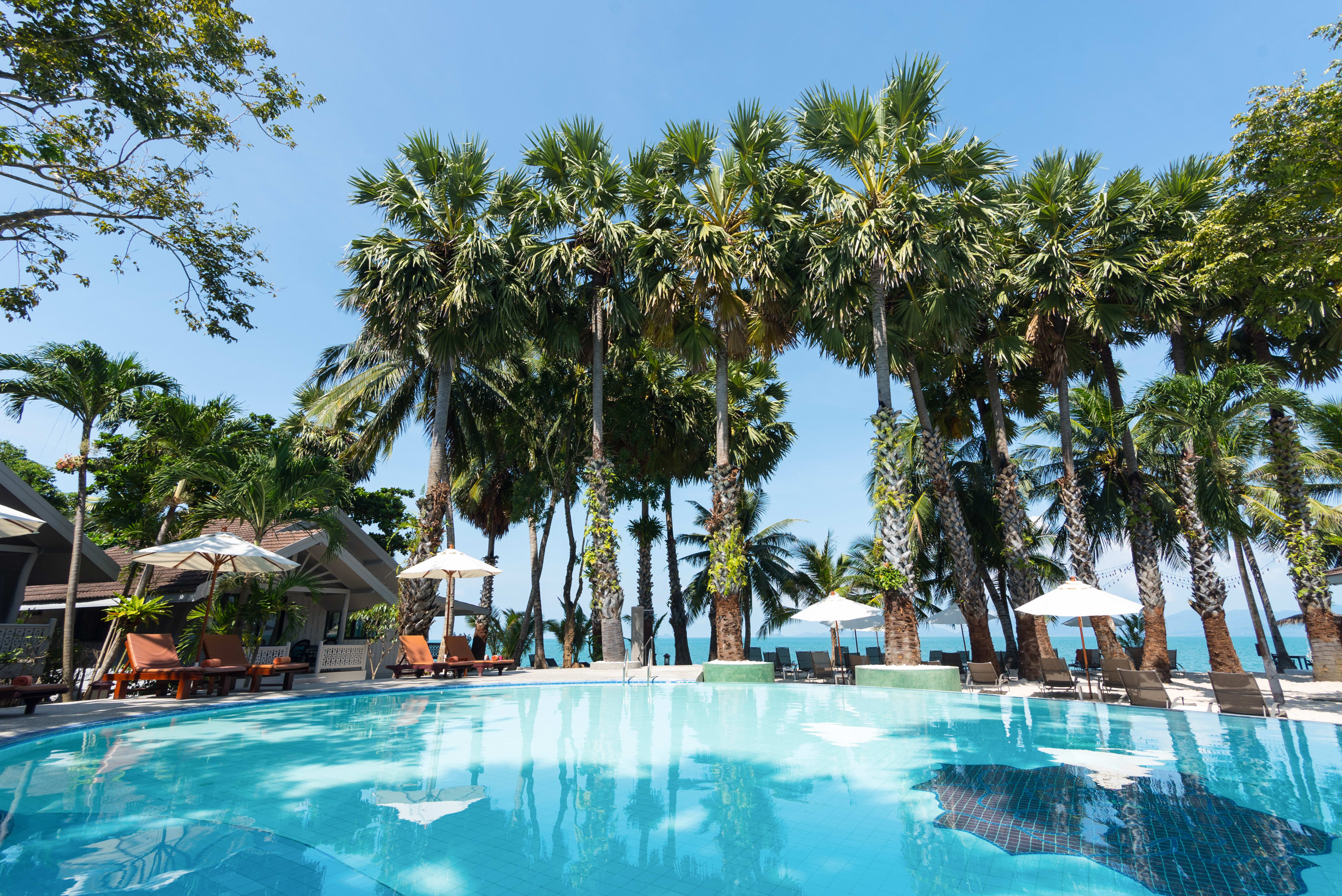 Paradise Beach Resort in Ko Samui:  Thailand Paradise Beach Resort Pool