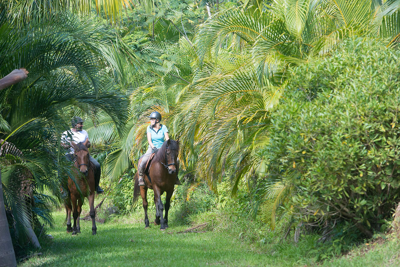 La Vieille Cheminée in Süd | Südwesten:  Mauritius La Vieille Cheminee 